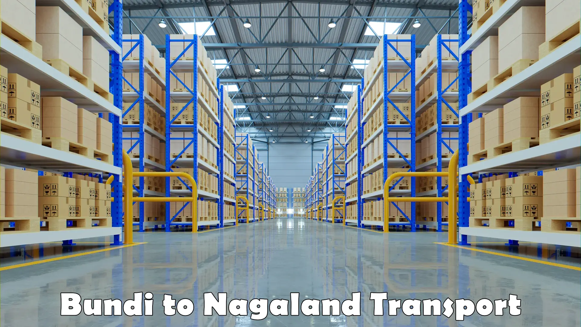 Two wheeler parcel service Bundi to Nagaland