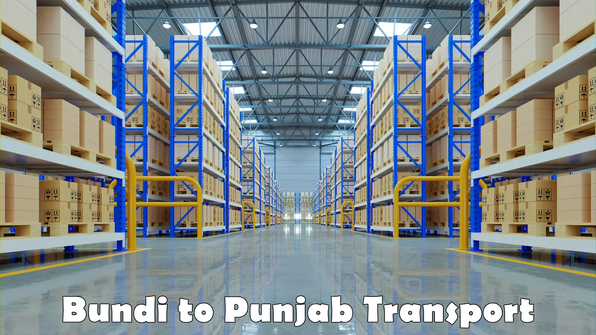 Air cargo transport services Bundi to Punjab