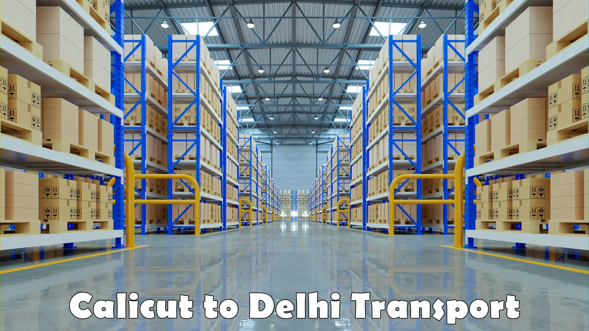 Shipping partner Calicut to University of Delhi
