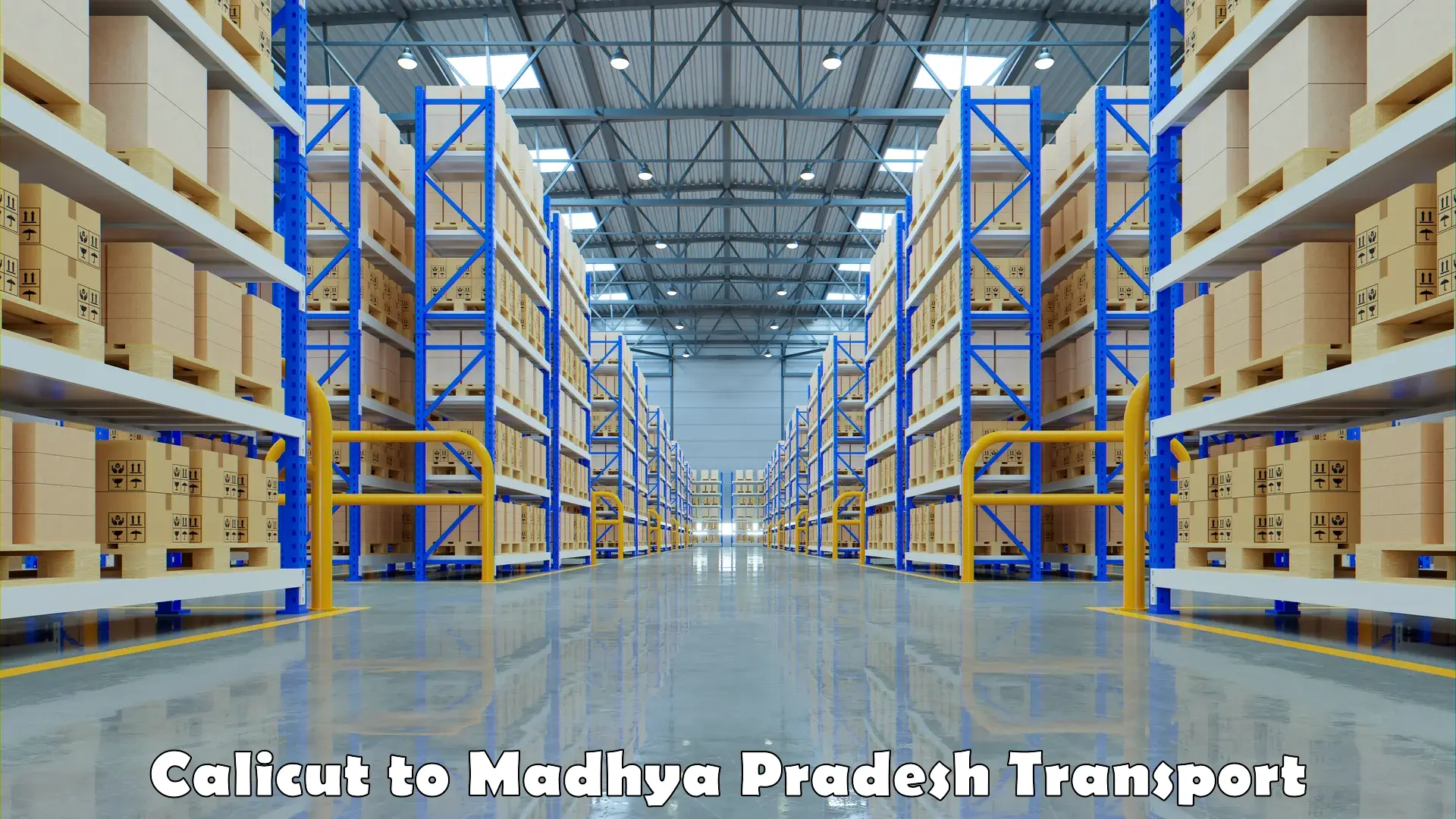 Vehicle transport services Calicut to Raipur Karchuliyan