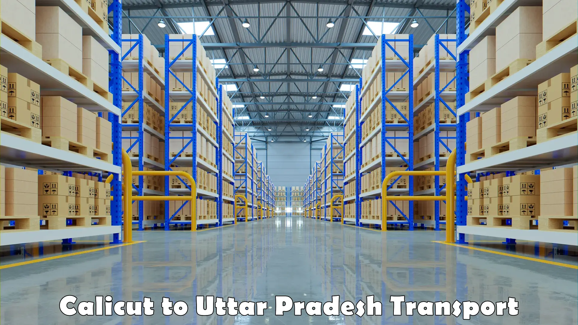 Shipping services Calicut to Uttar Pradesh