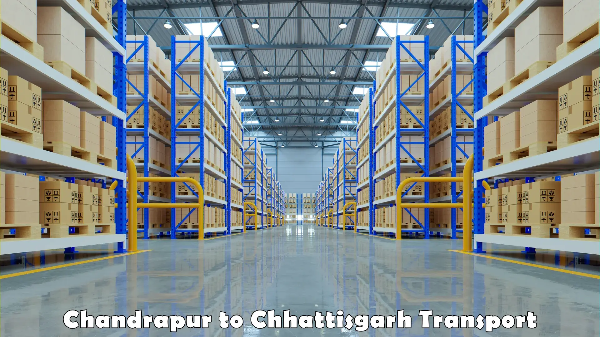 International cargo transportation services Chandrapur to Pithora