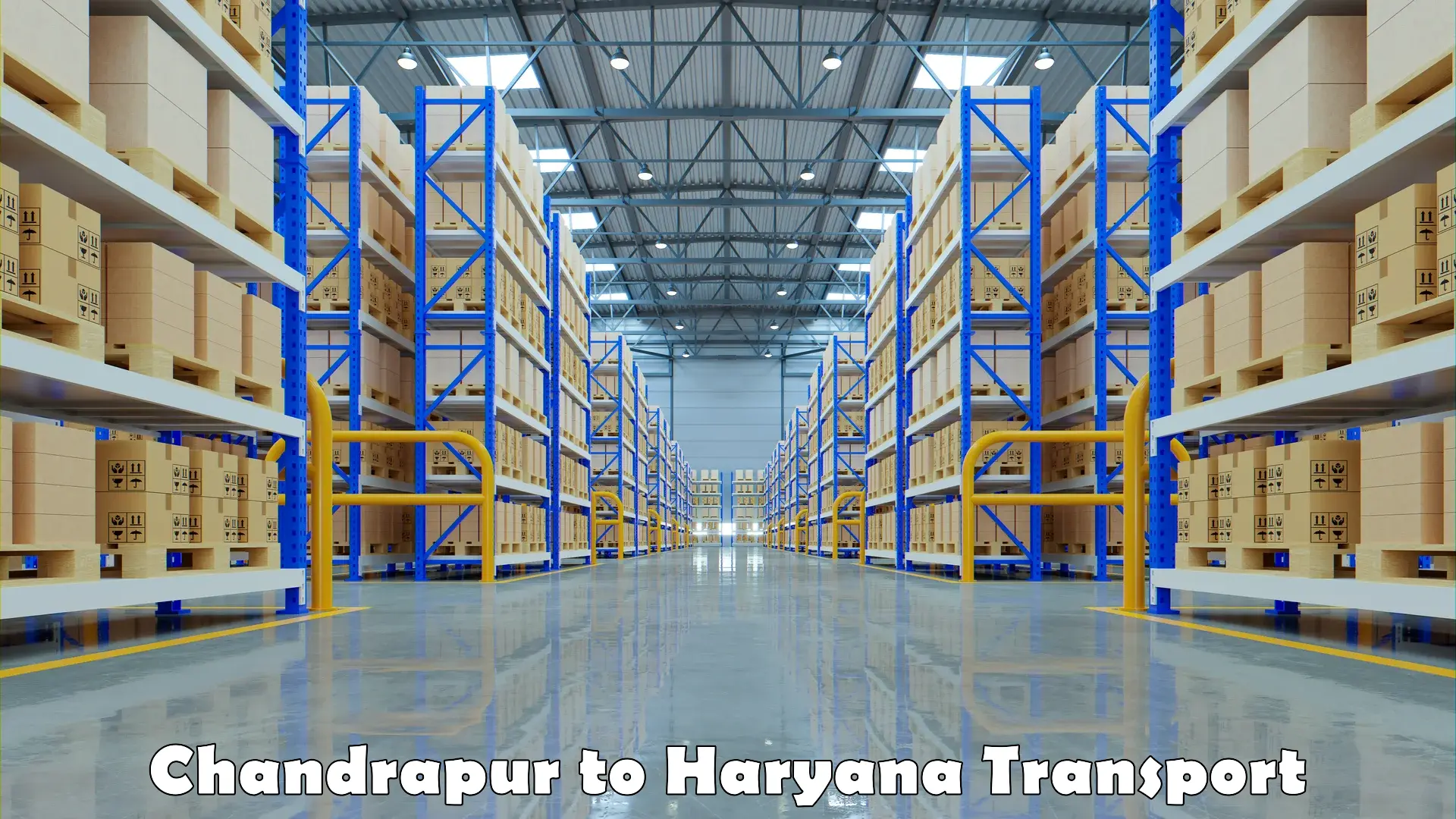 Air freight transport services Chandrapur to Yamuna Nagar