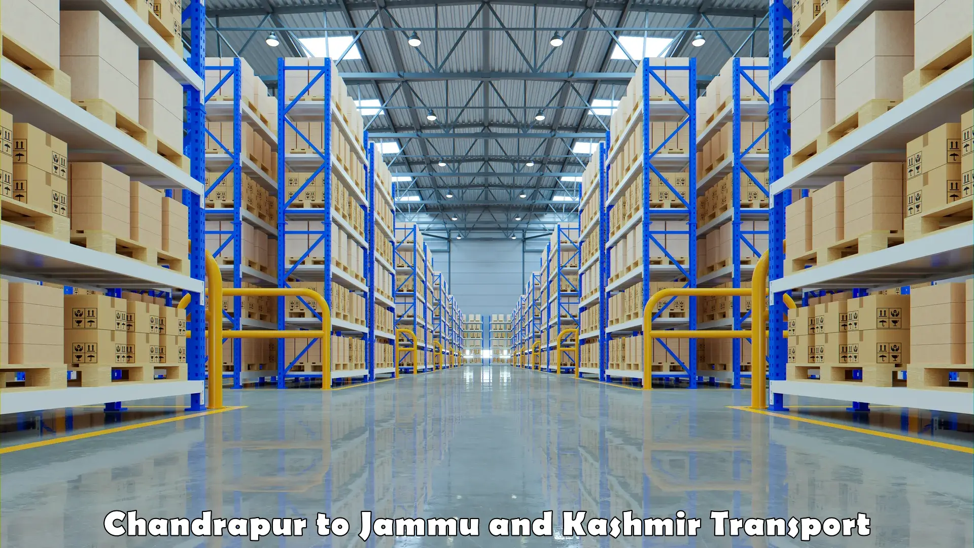Online transport booking Chandrapur to Jammu
