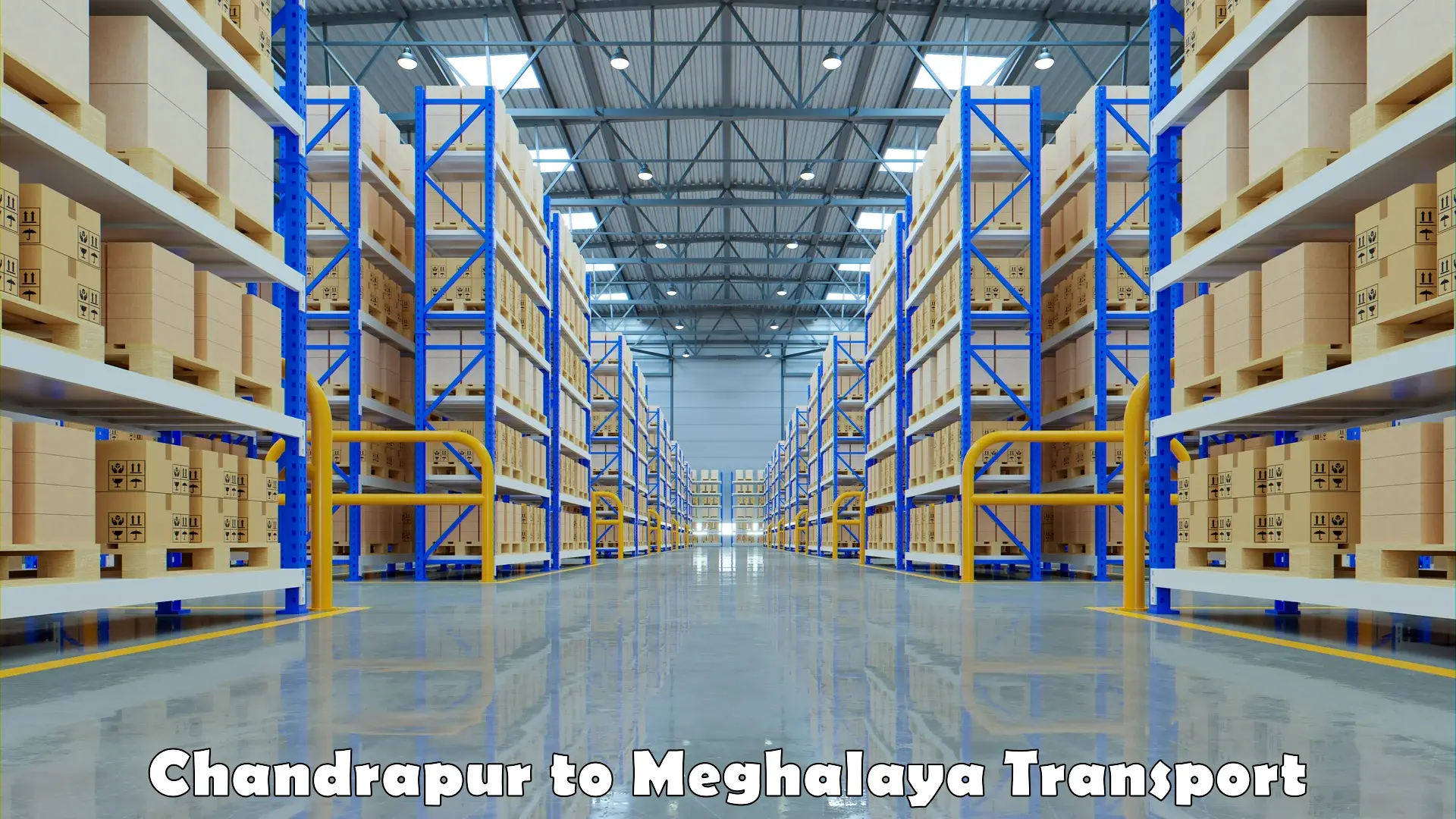 Transportation solution services in Chandrapur to Meghalaya