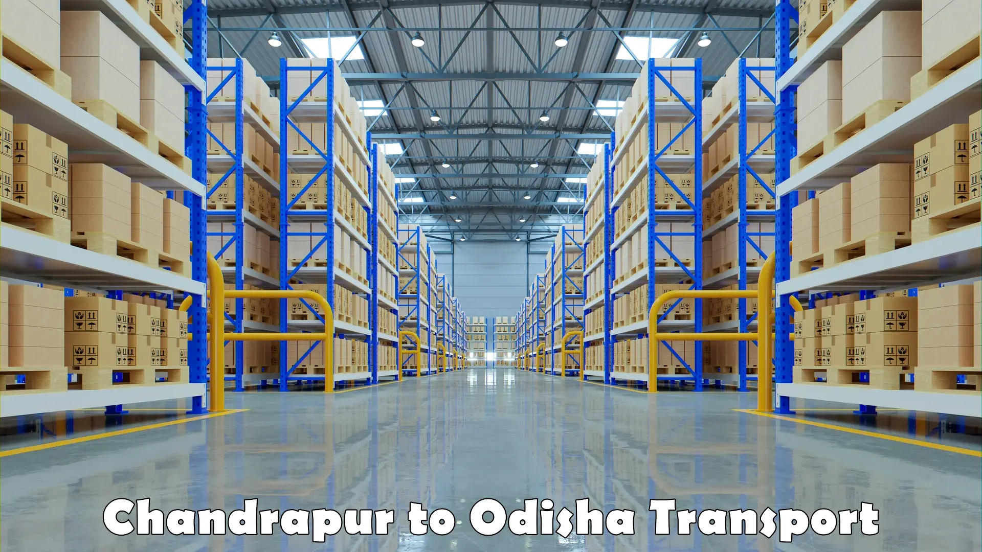 Nationwide transport services Chandrapur to Odisha