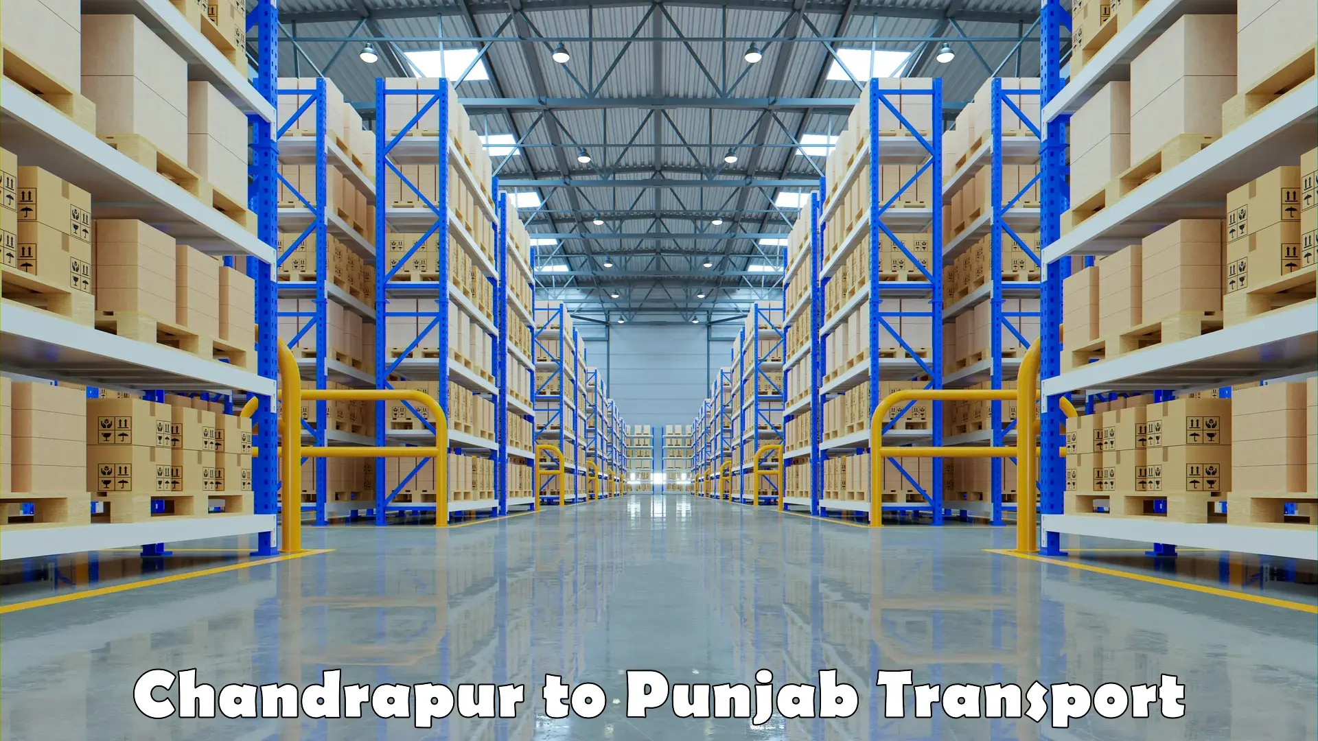 Road transport services Chandrapur to Punjab