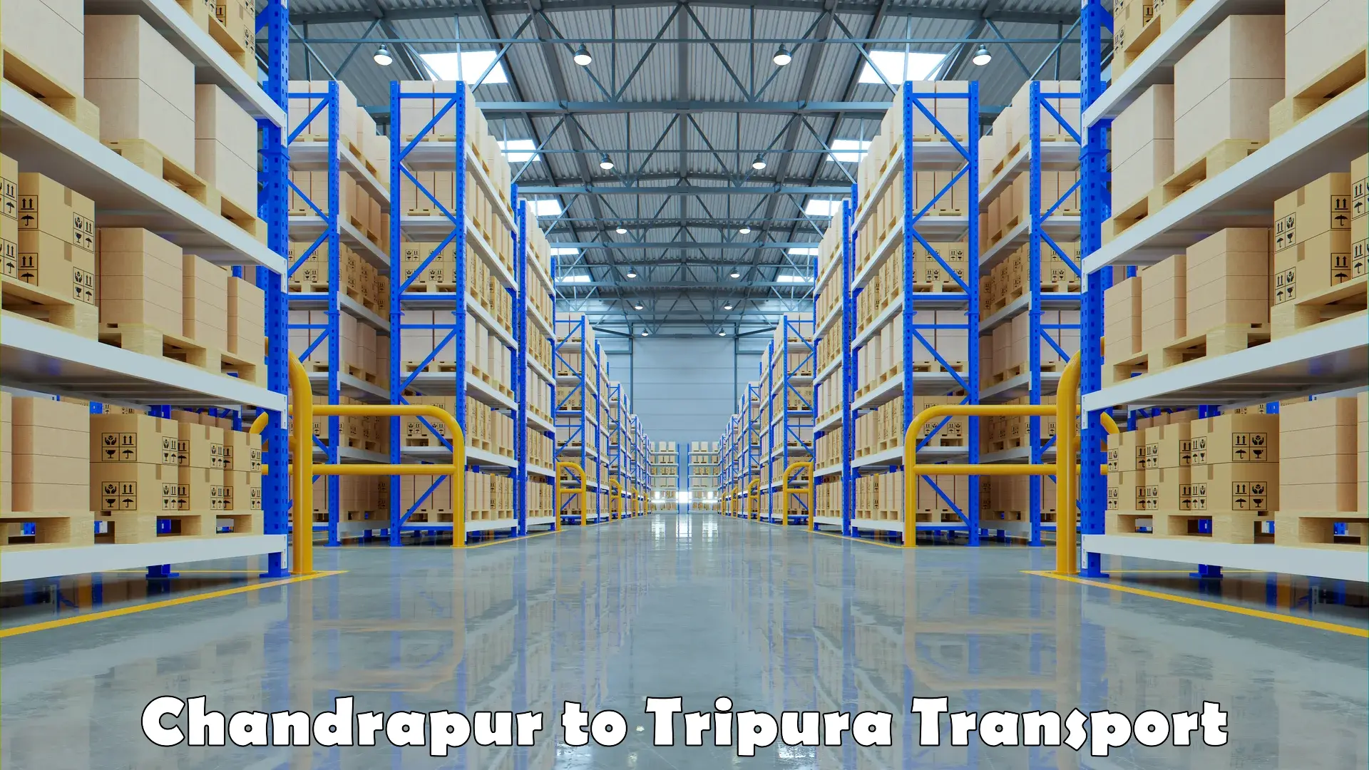 Cargo transport services Chandrapur to Amarpur