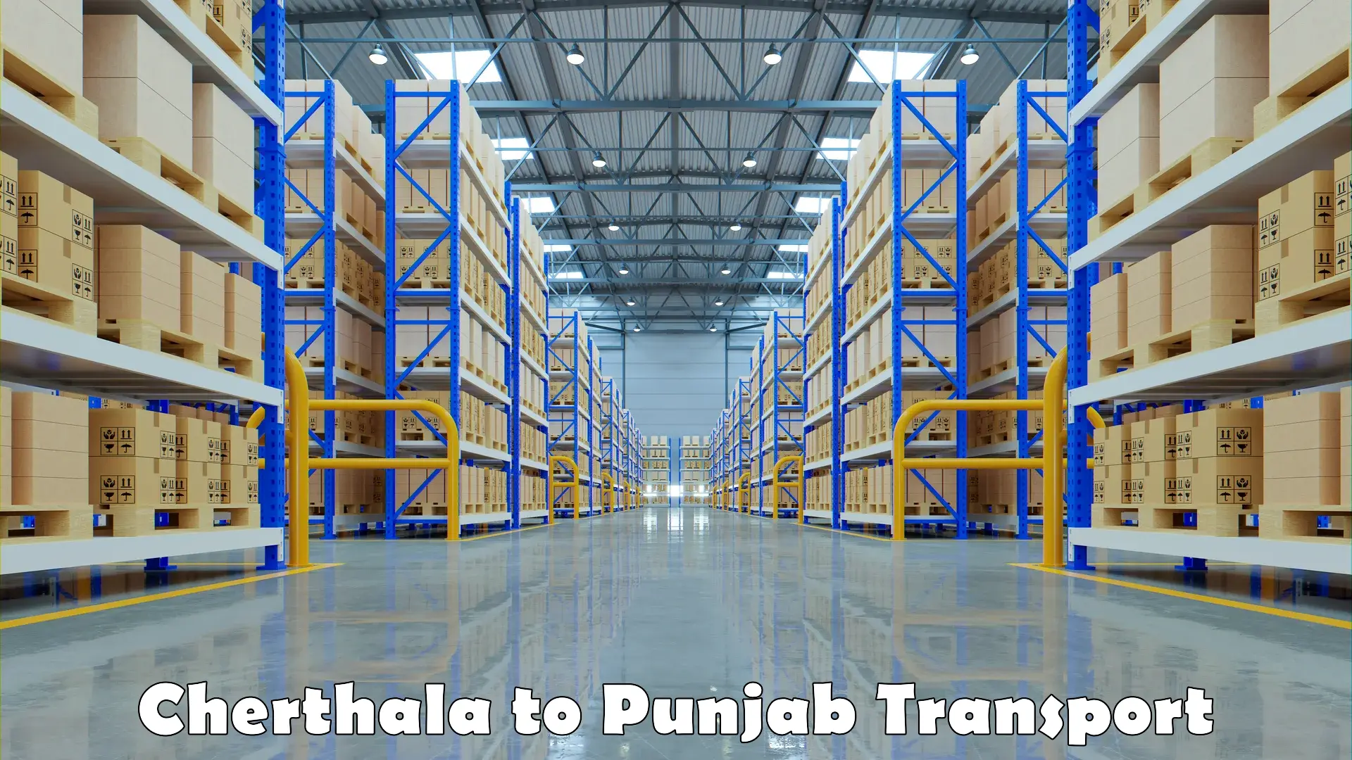 Container transport service Cherthala to Punjab