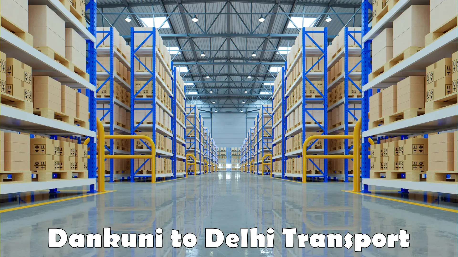 Transportation solution services in Dankuni to Delhi