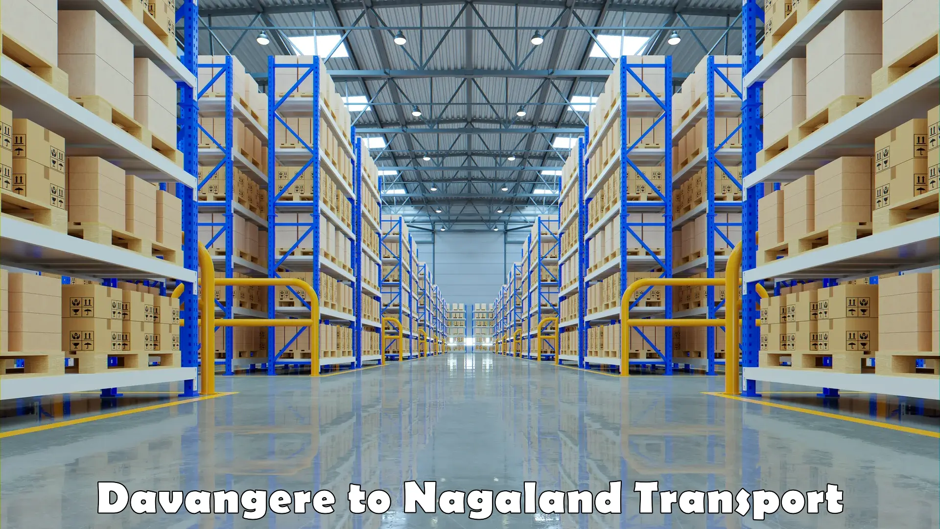 Transport services Davangere to Nagaland