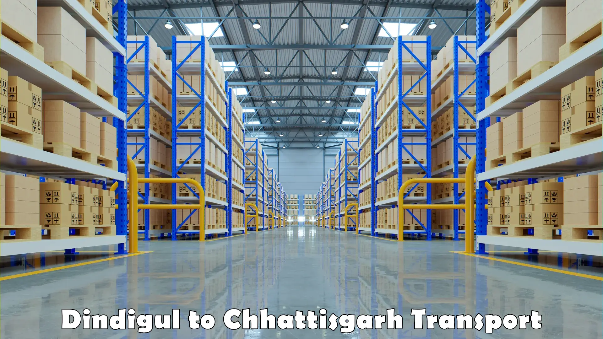 Air cargo transport services Dindigul to Raigarh Chhattisgarh