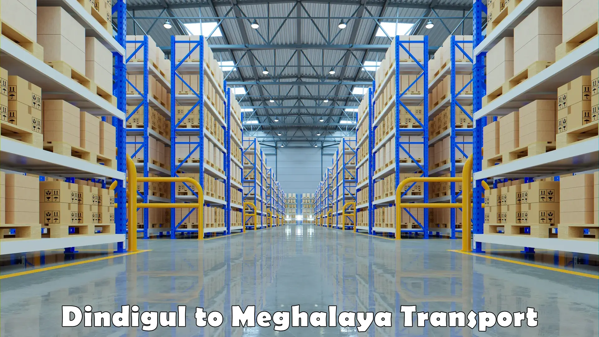 Transportation services Dindigul to Meghalaya