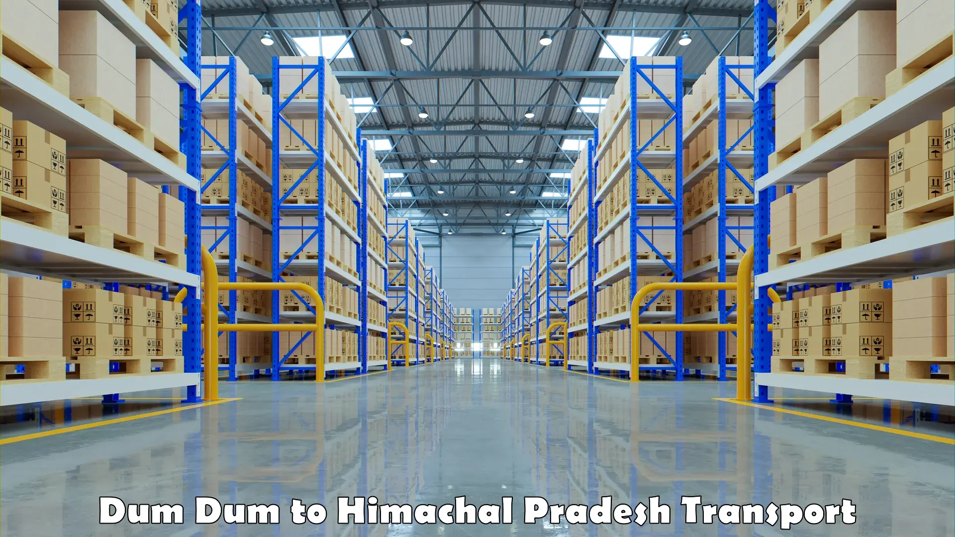 Intercity goods transport Dum Dum to Dharampur Kasauli