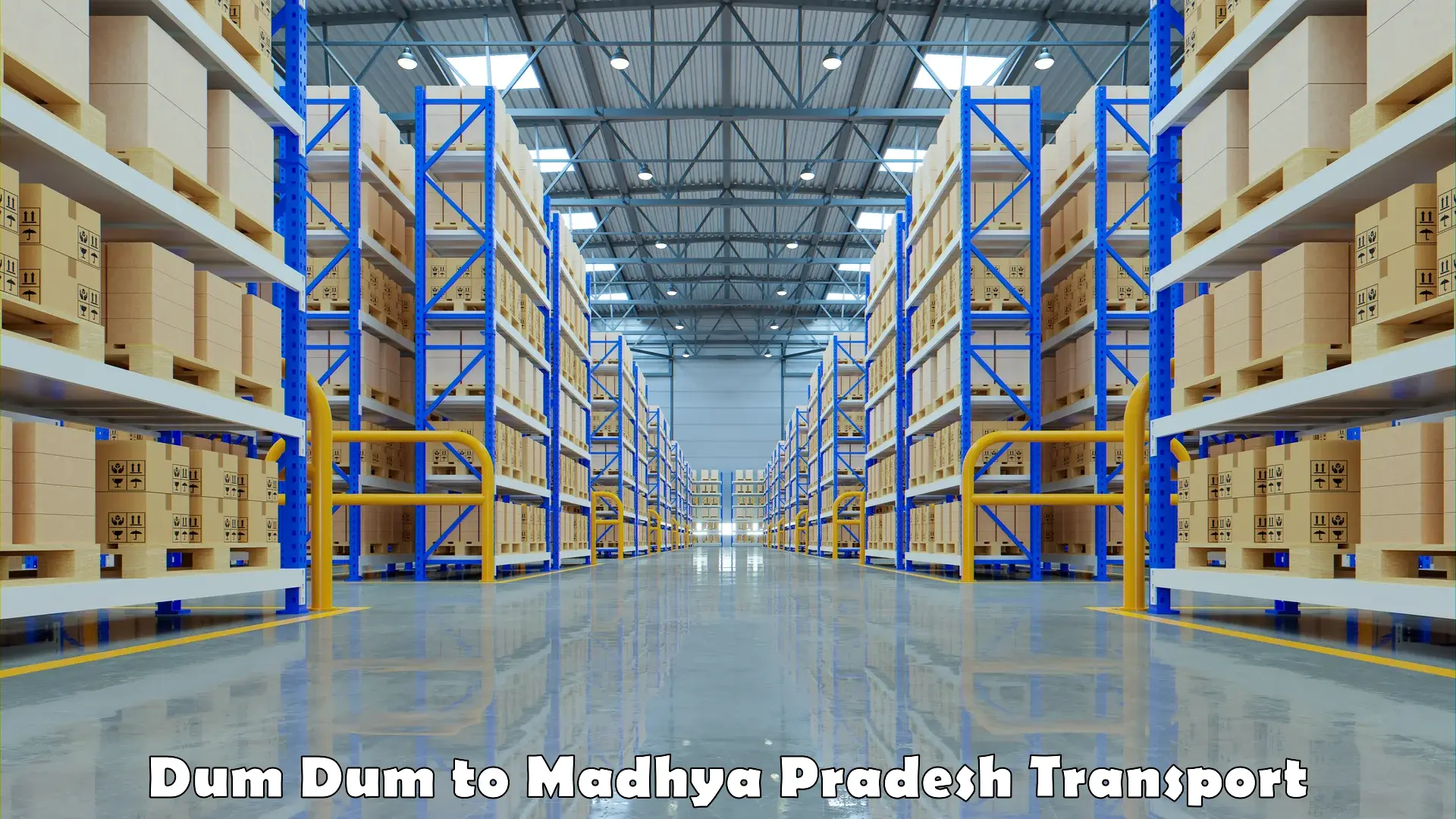 India truck logistics services in Dum Dum to Singrauli