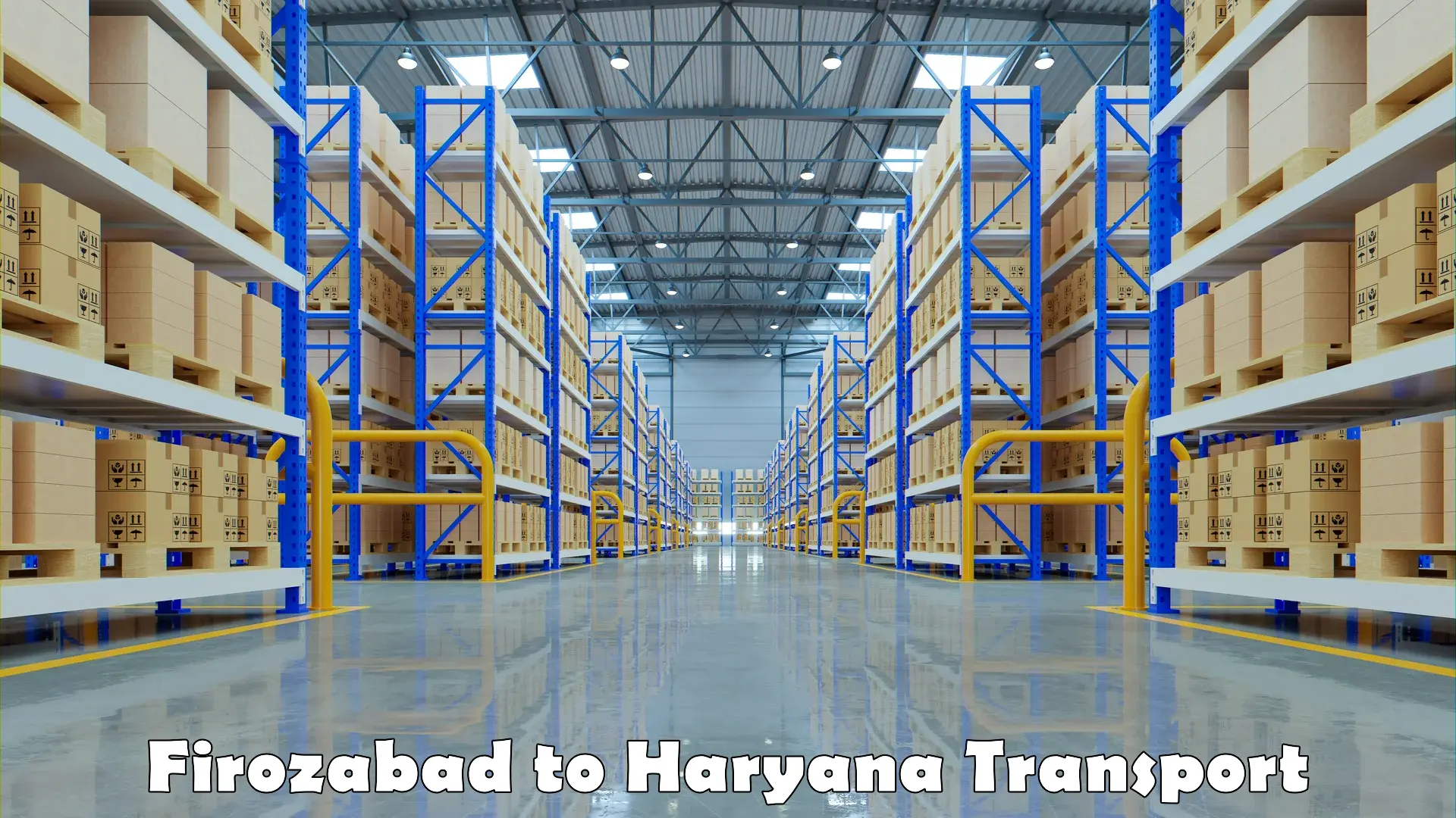 India truck logistics services Firozabad to Mahendragarh