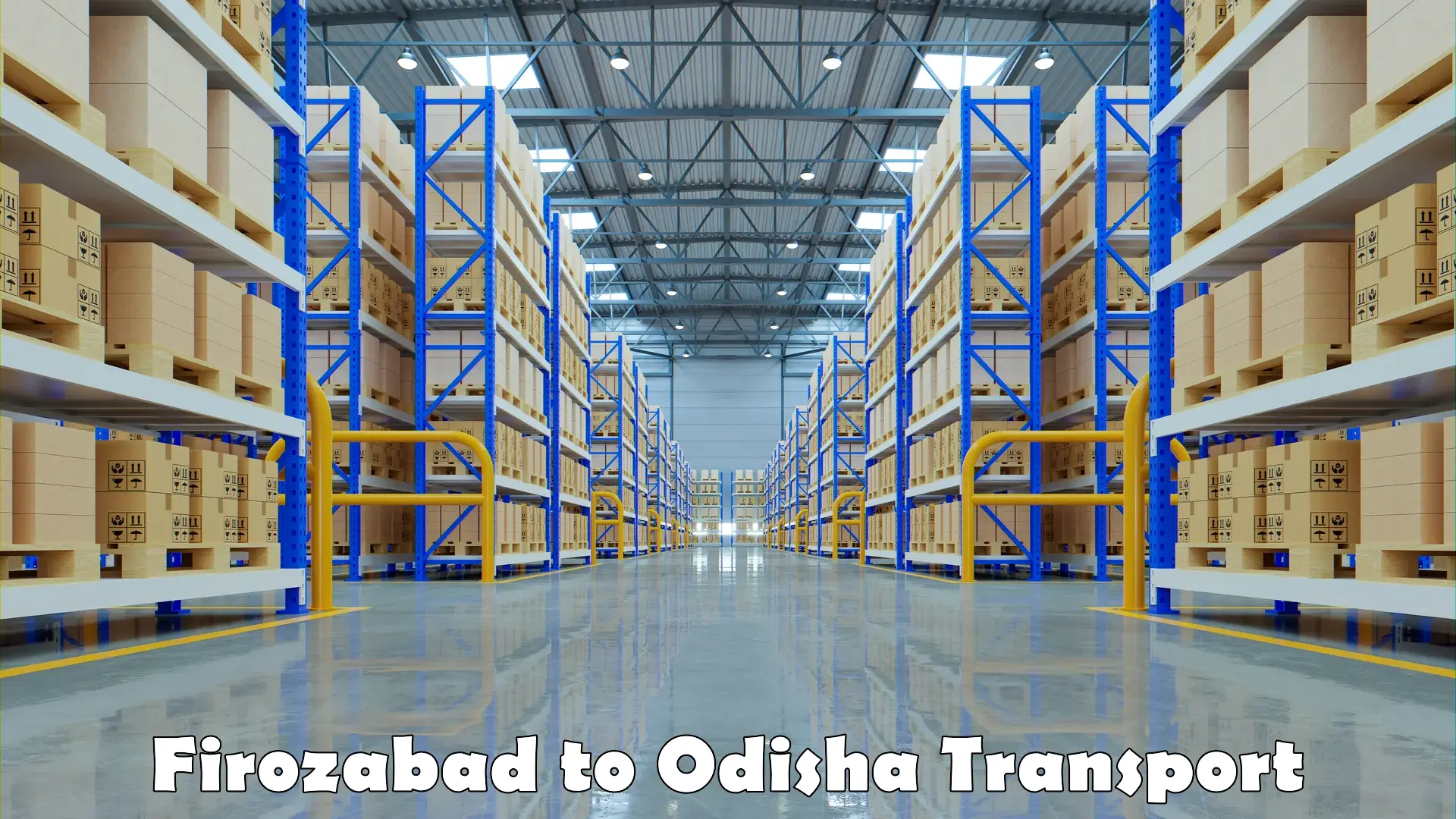 Cargo transportation services Firozabad to Odisha