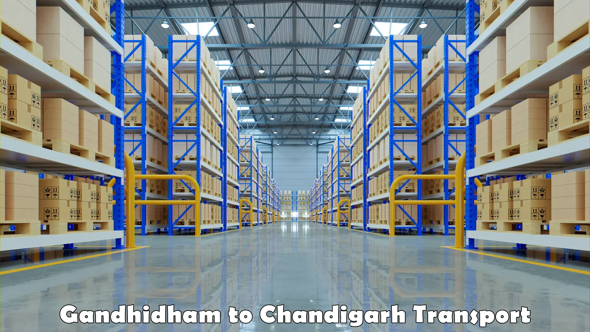 Transport services Gandhidham to Chandigarh