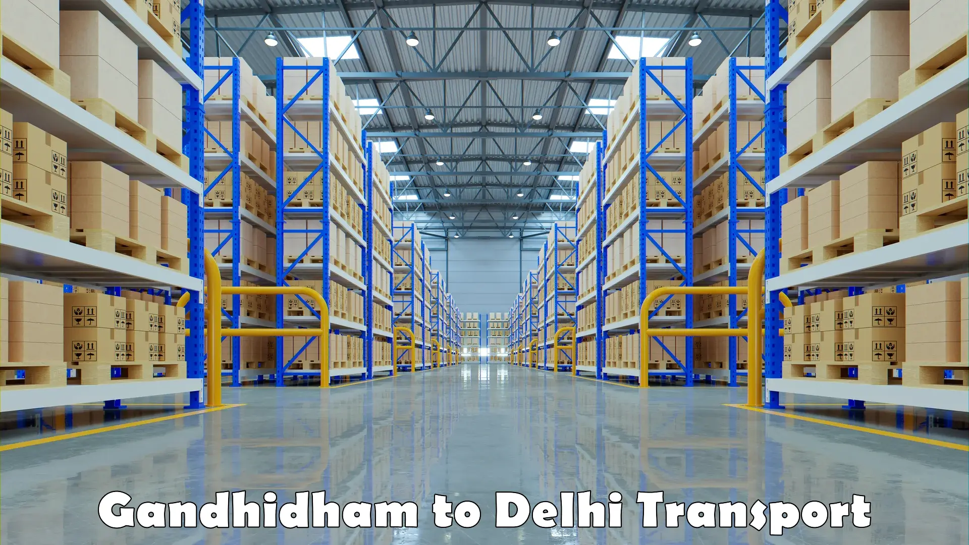 India truck logistics services Gandhidham to Ashok Vihar