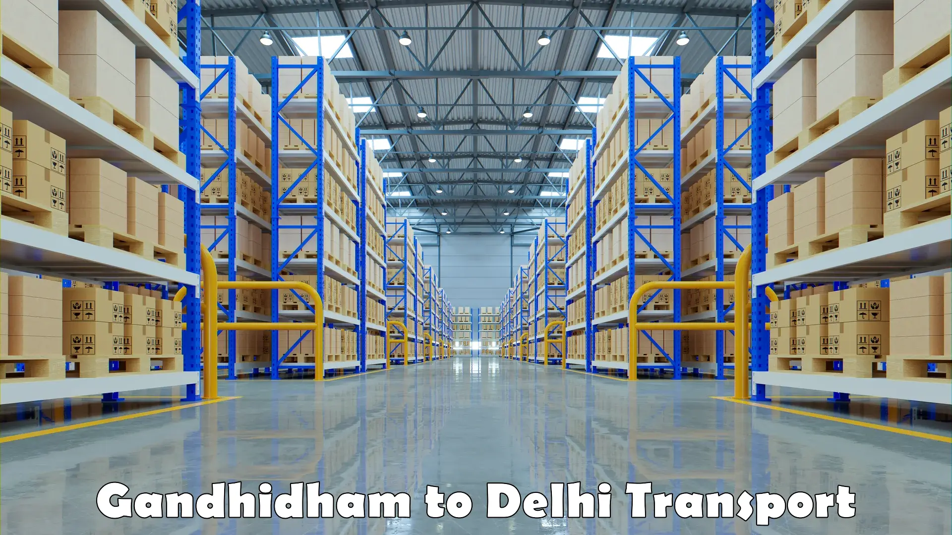 Daily parcel service transport Gandhidham to Lodhi Road