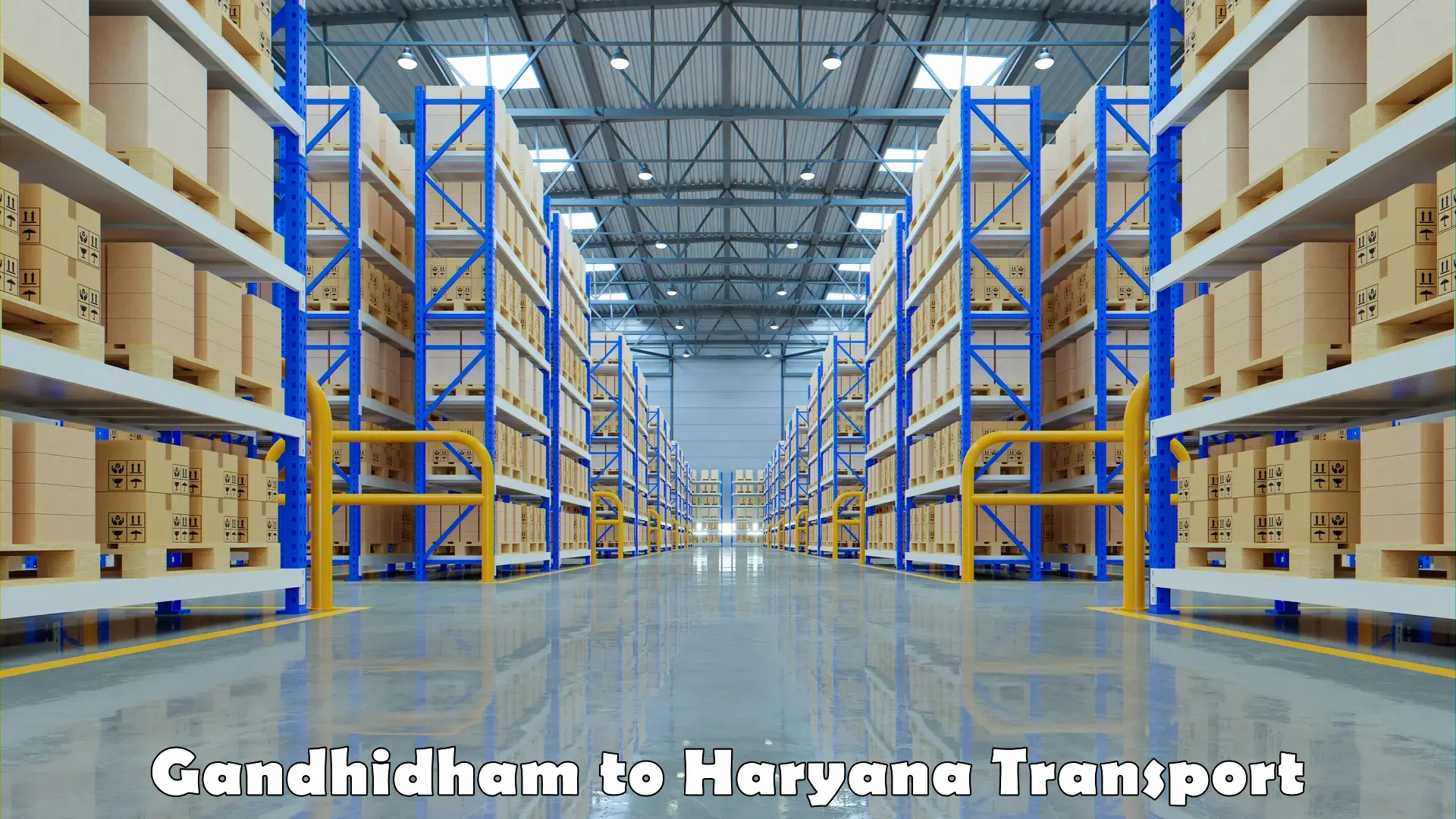 Transport services Gandhidham to Taraori