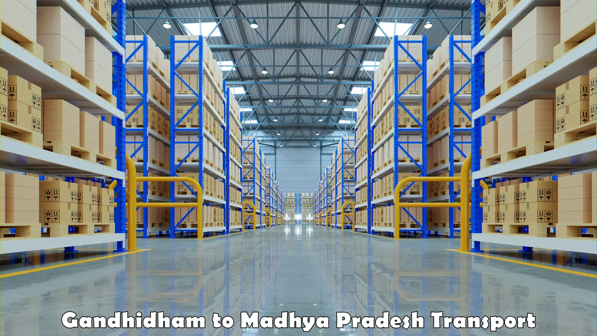 Vehicle transport services Gandhidham to Madhya Pradesh