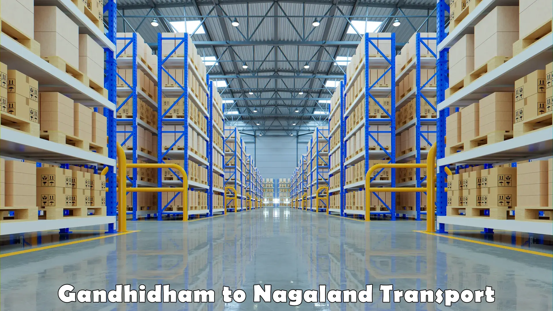 Online transport Gandhidham to Mon