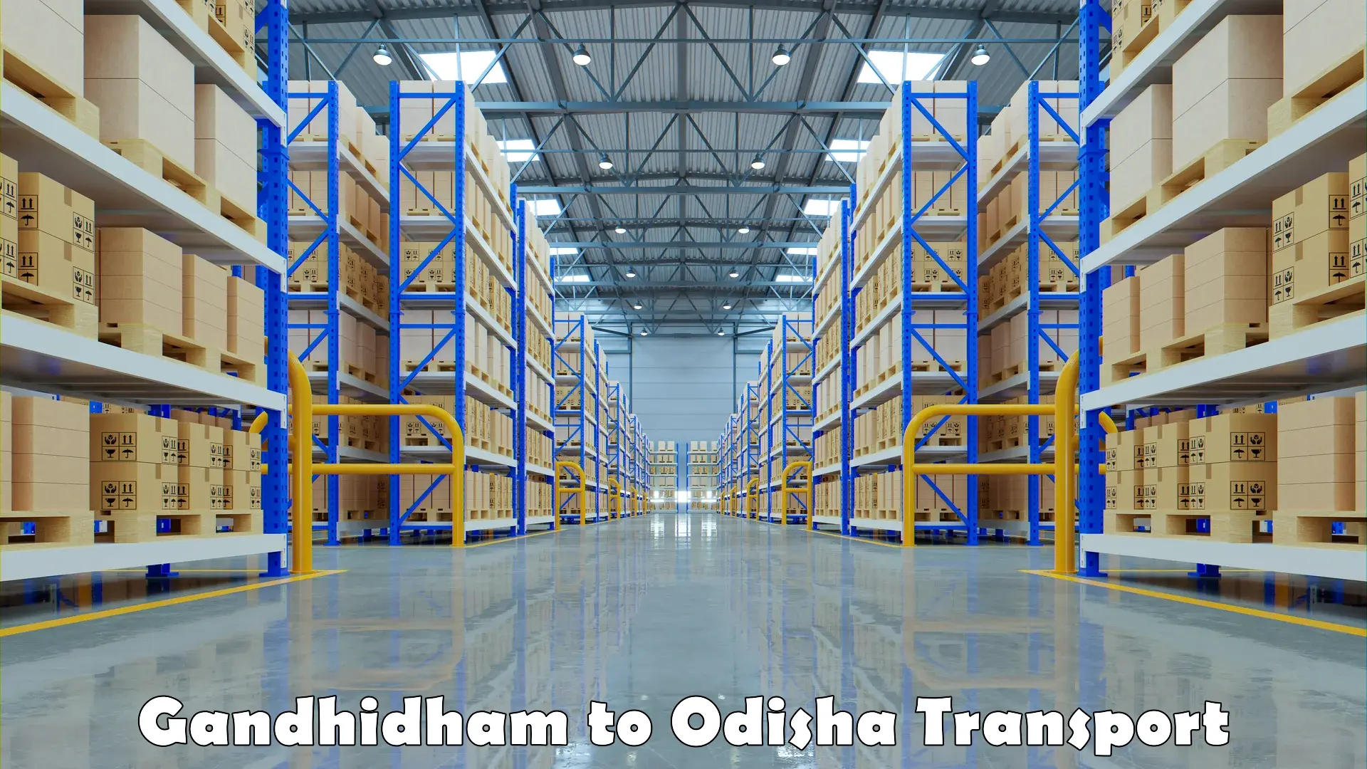 Daily parcel service transport Gandhidham to Jaipatna