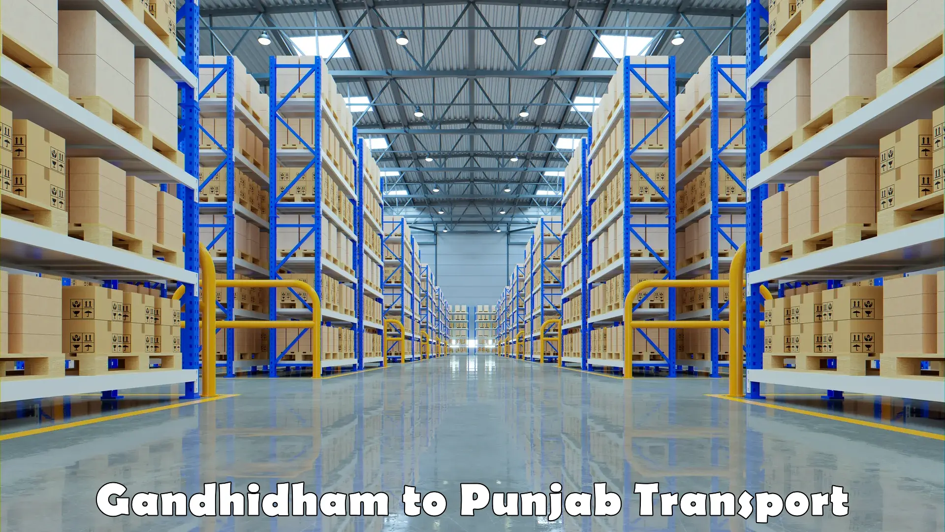Interstate goods transport Gandhidham to Central University of Punjab Bathinda