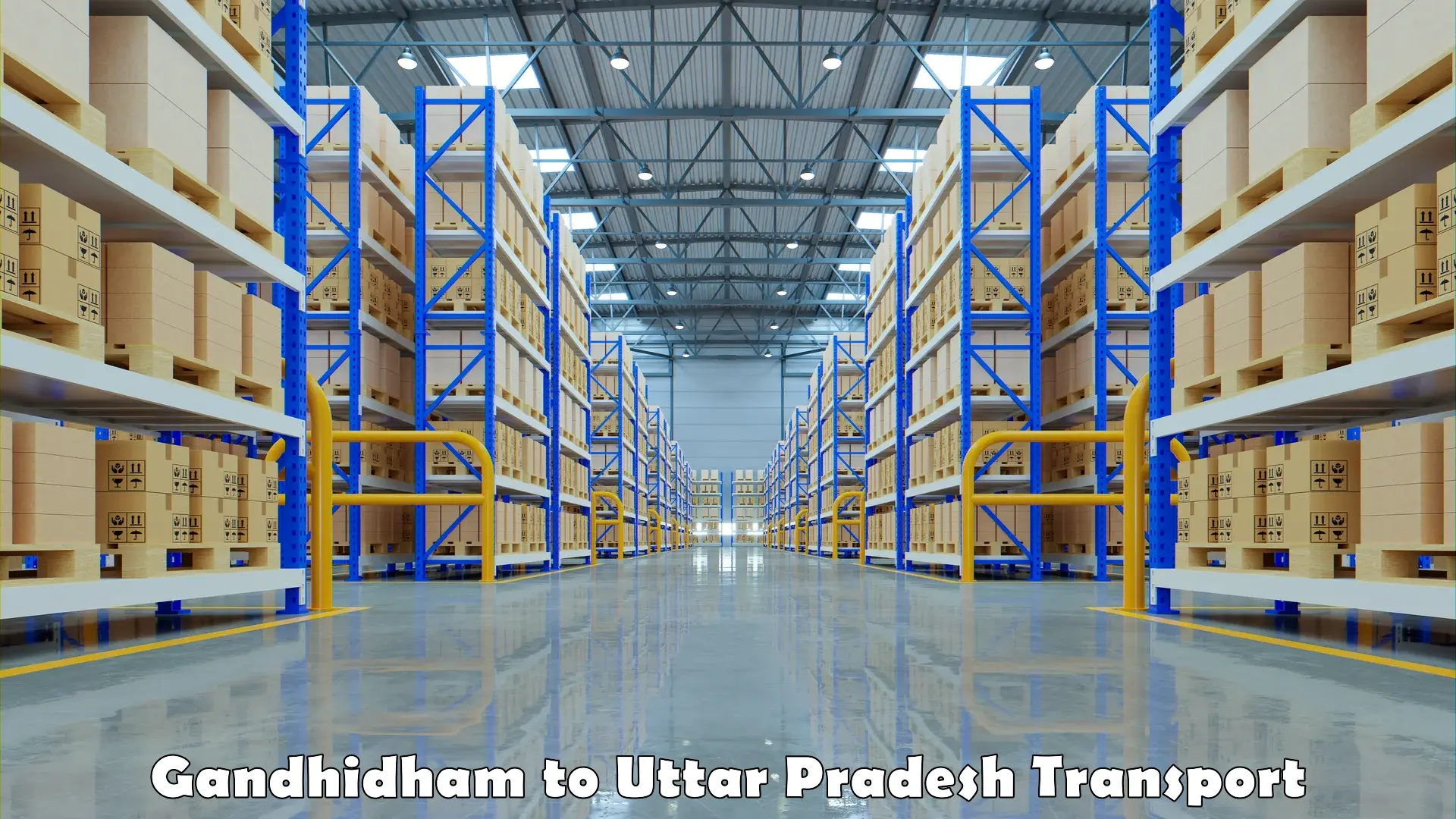 Transport shared services Gandhidham to Uttar Pradesh