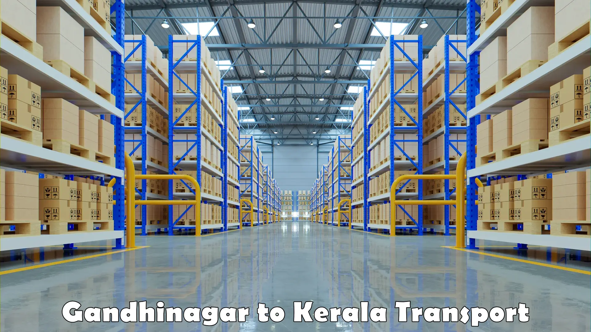 Cargo transportation services Gandhinagar to IIIT Kottayam