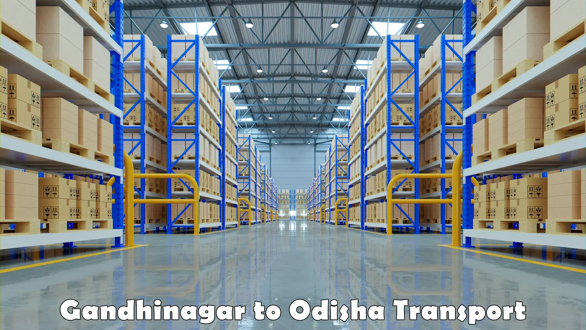 Daily transport service in Gandhinagar to Paradip Port