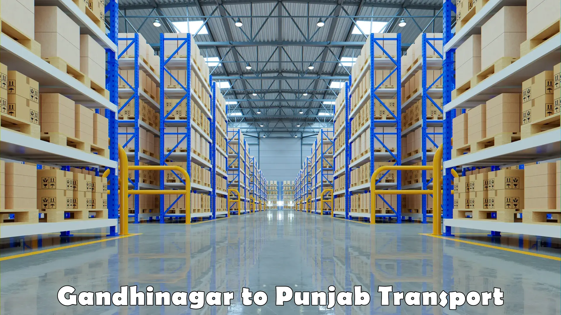 International cargo transportation services Gandhinagar to NIT Jallandhar