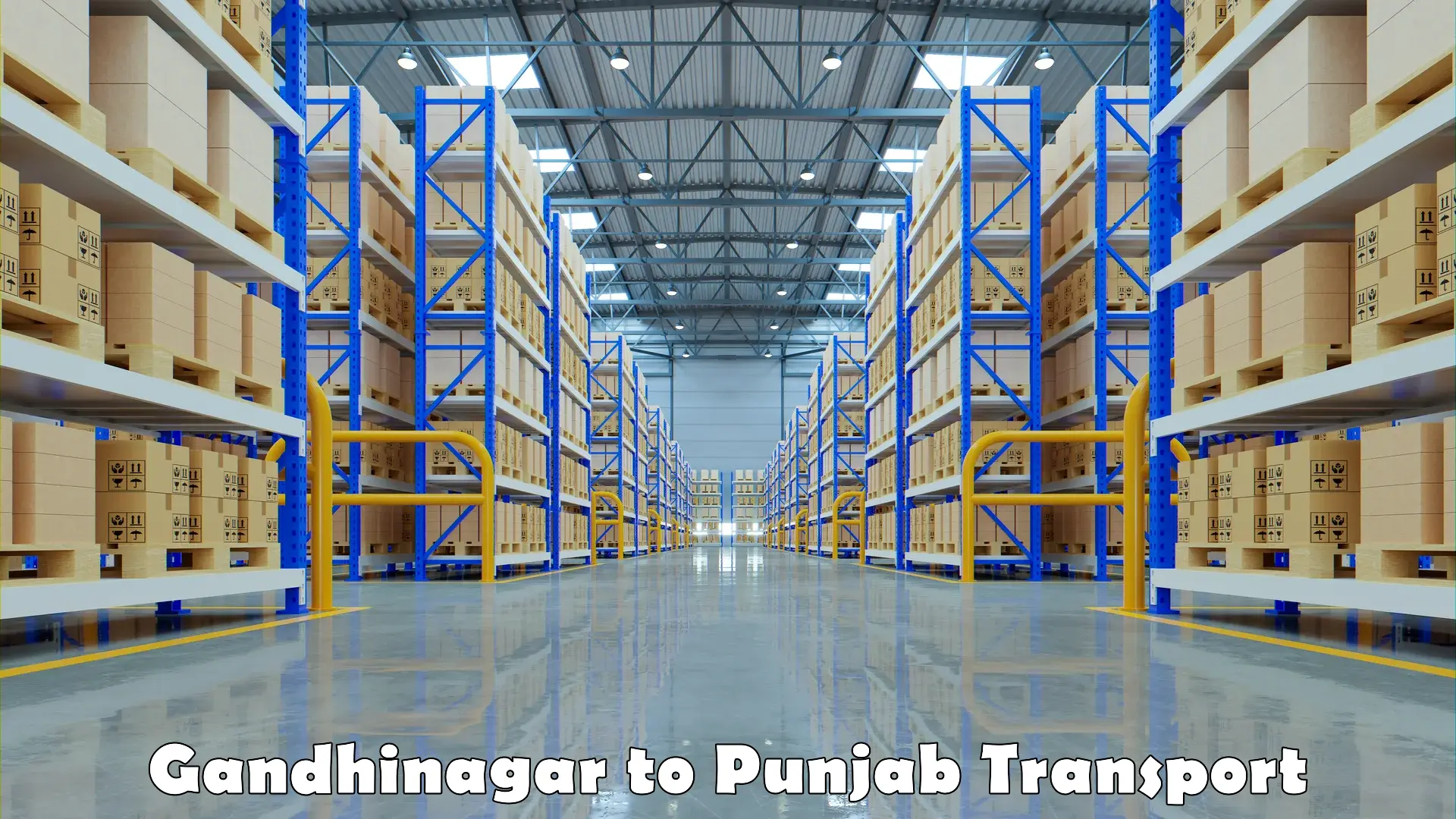 Online transport in Gandhinagar to Nawanshahr