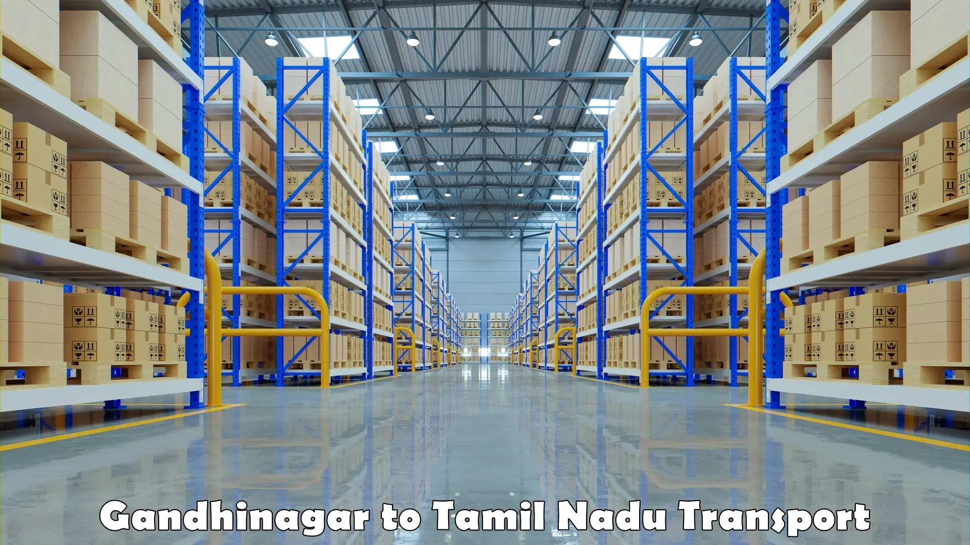 Cargo transport services Gandhinagar to University of Madras Chennai