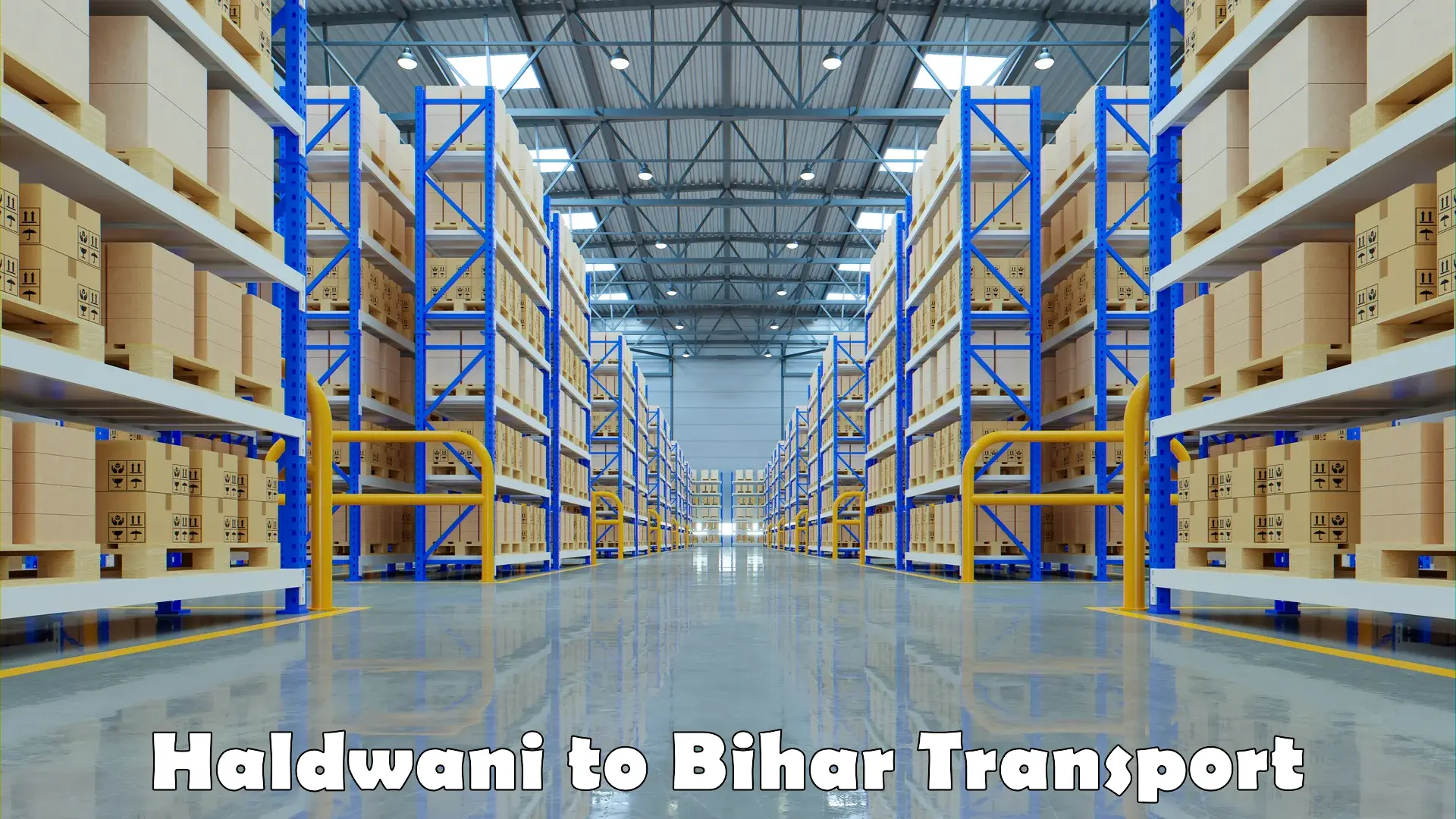 Container transportation services Haldwani to Sitamarhi