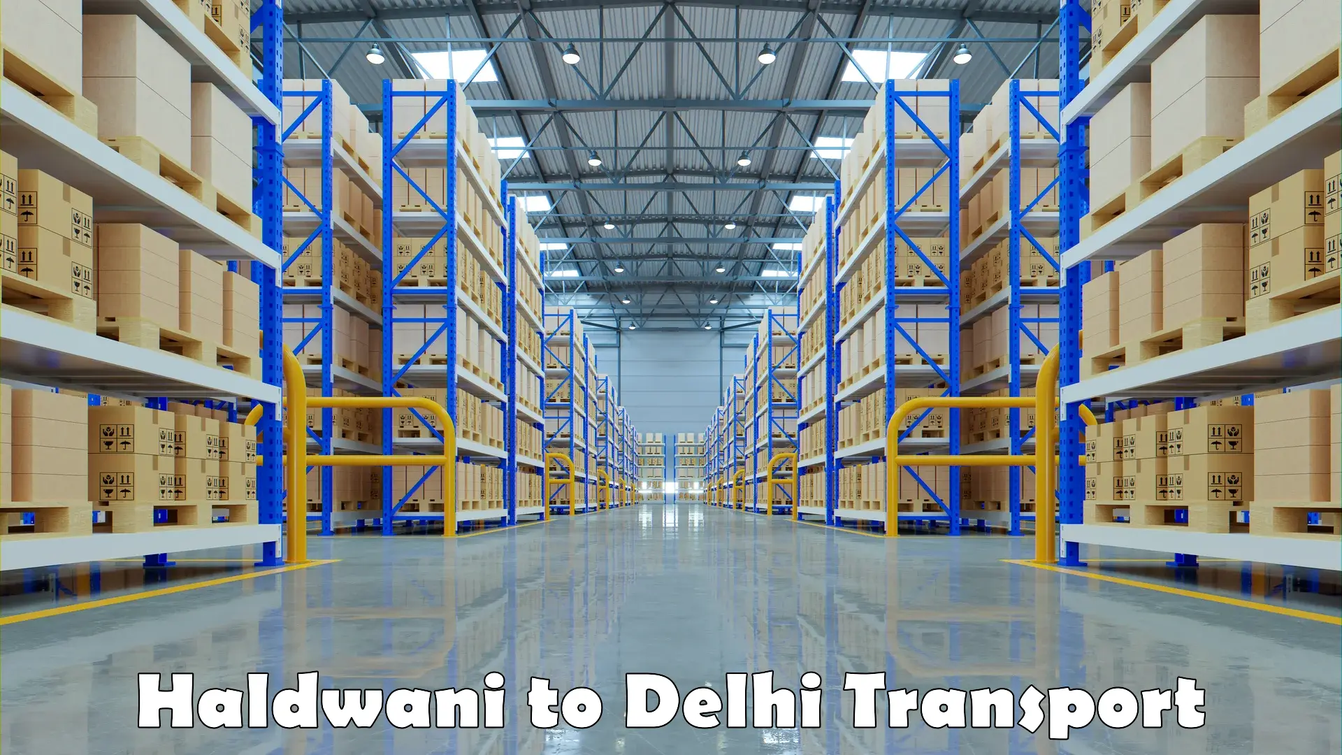 Package delivery services Haldwani to Jhilmil