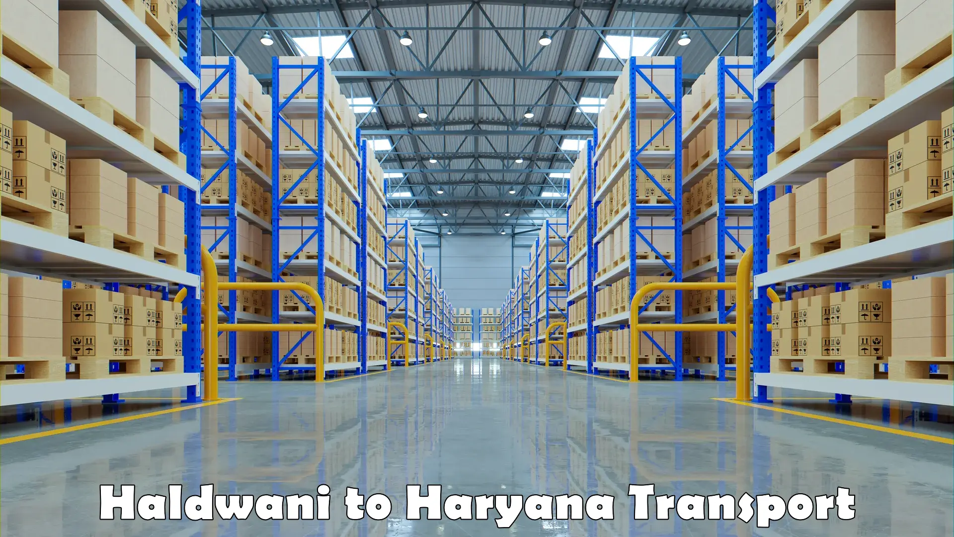 Pick up transport service Haldwani to Haryana
