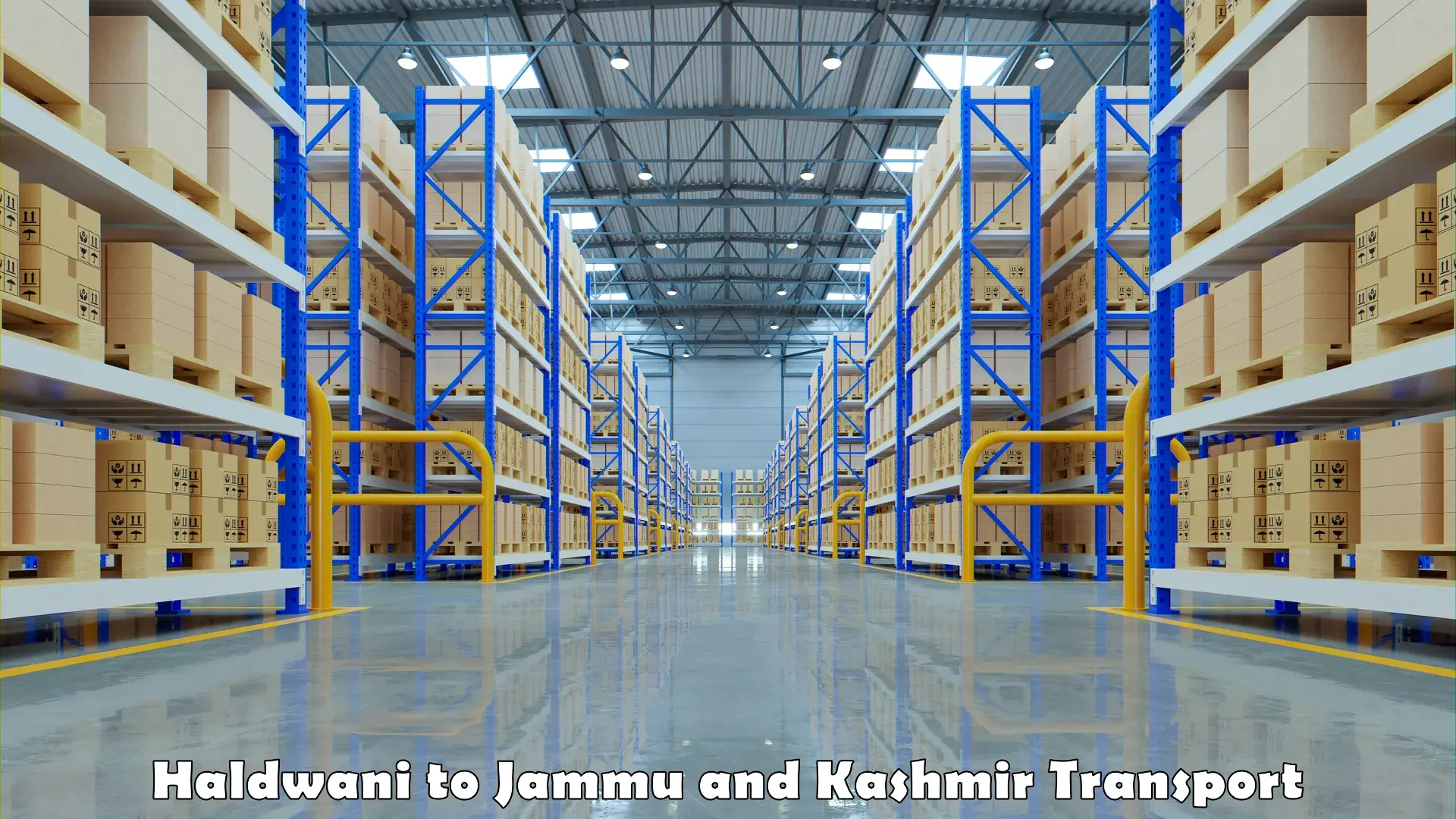 Vehicle transport services Haldwani to Jammu and Kashmir
