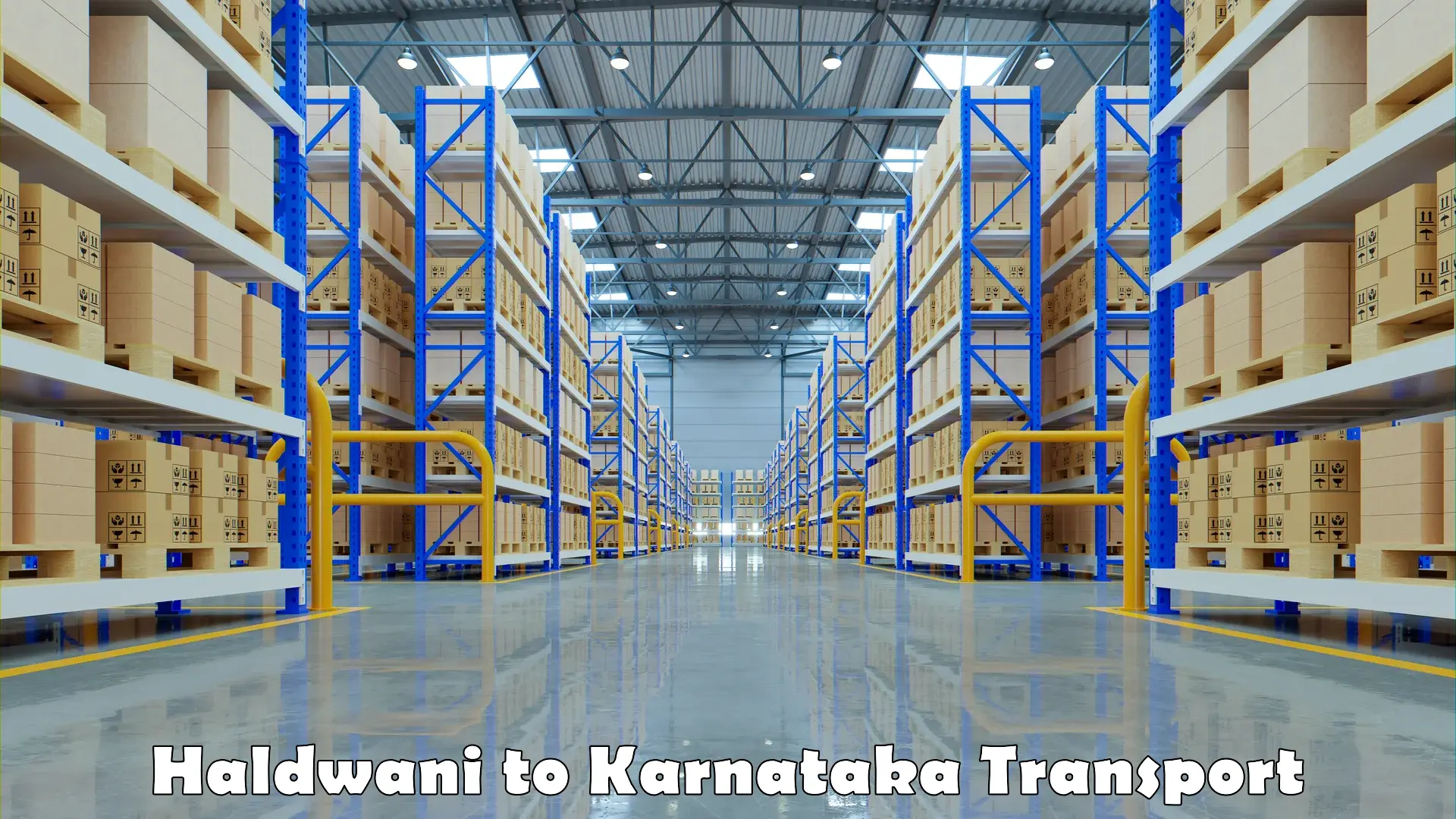 Vehicle courier services Haldwani to Karnataka
