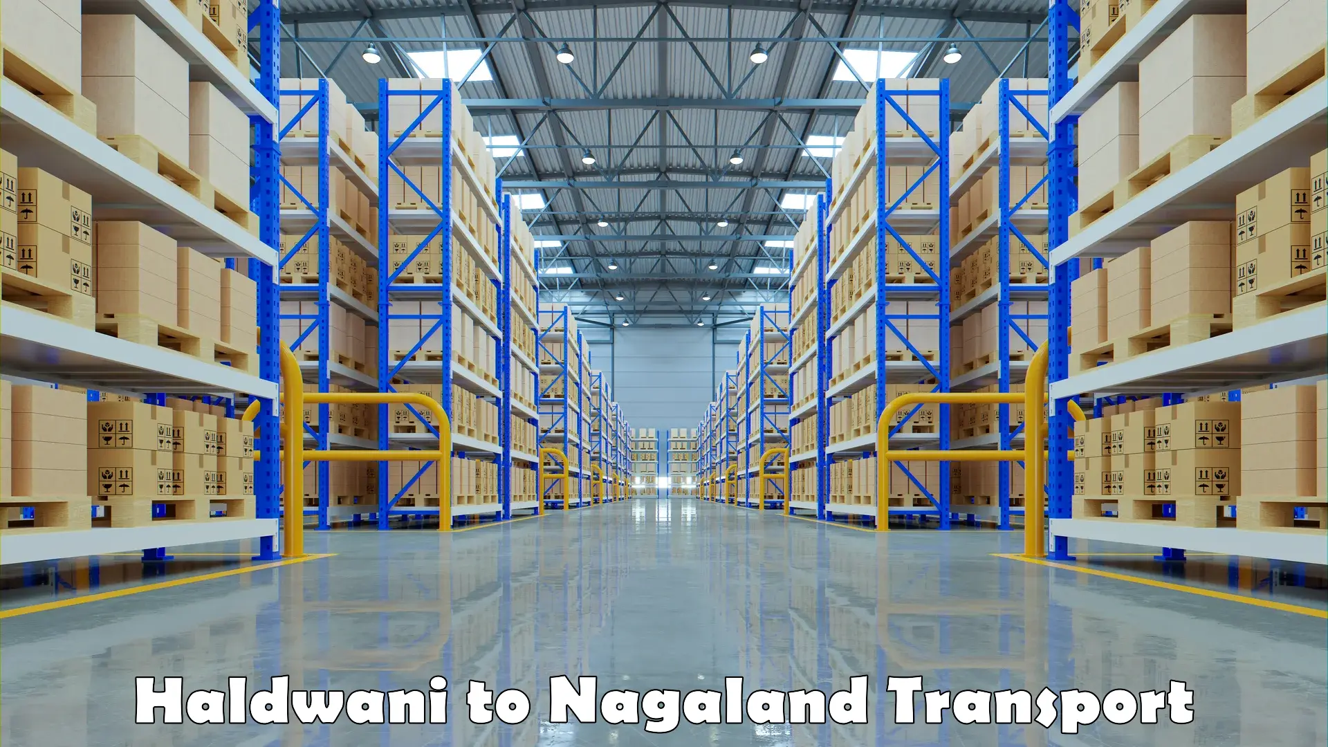 Cargo transport services Haldwani to NIT Nagaland