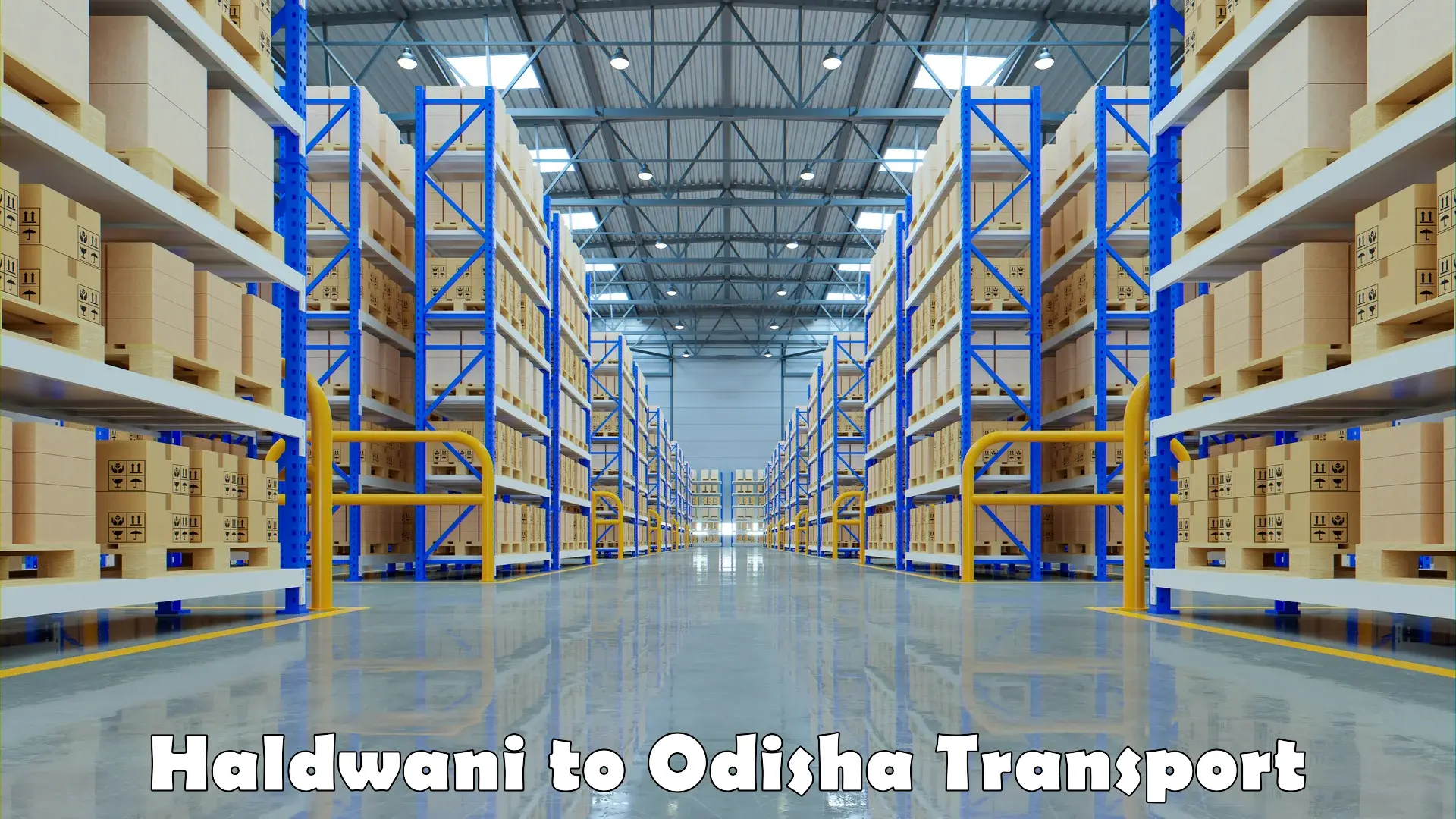 Part load transport service in India Haldwani to Odisha