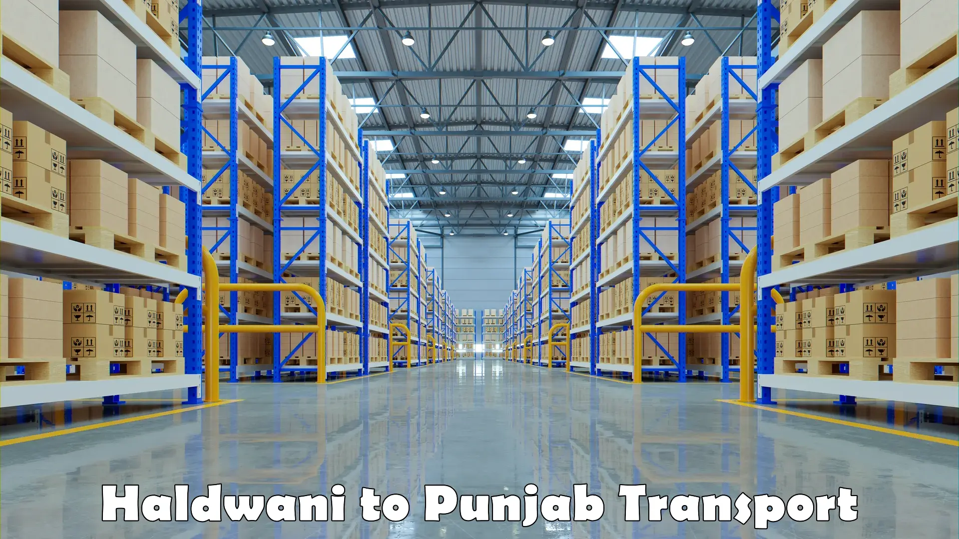 Pick up transport service Haldwani to Punjab