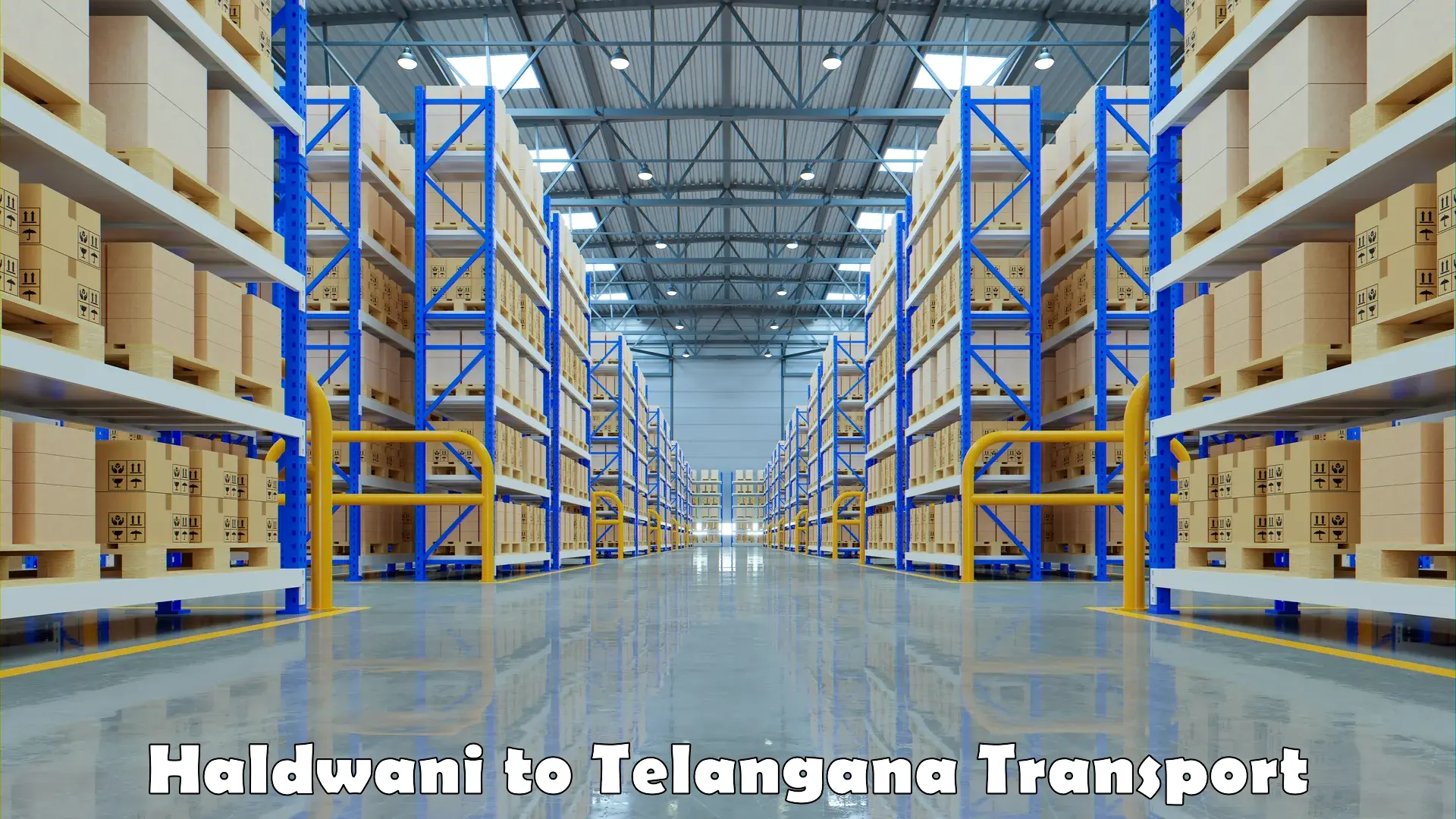 Air freight transport services Haldwani to Telangana
