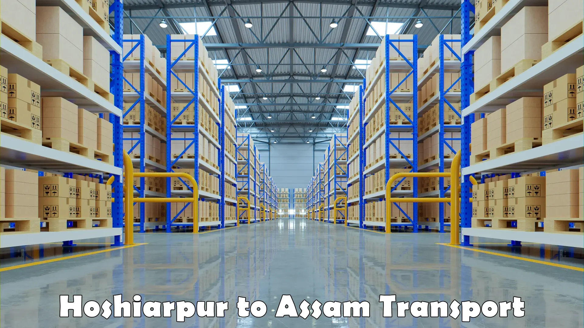 Best transport services in India Hoshiarpur to Assam