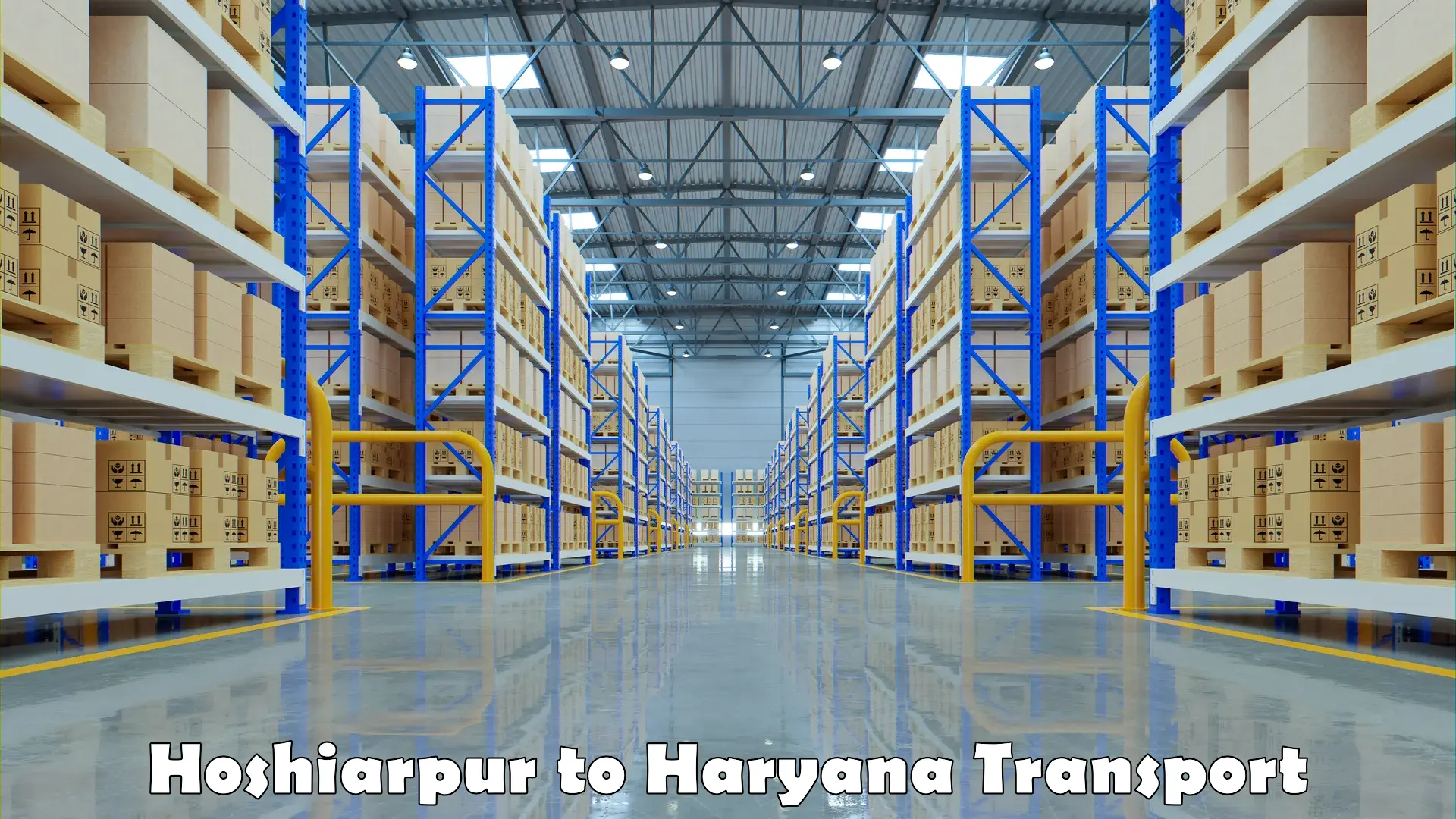 Truck transport companies in India Hoshiarpur to Haryana