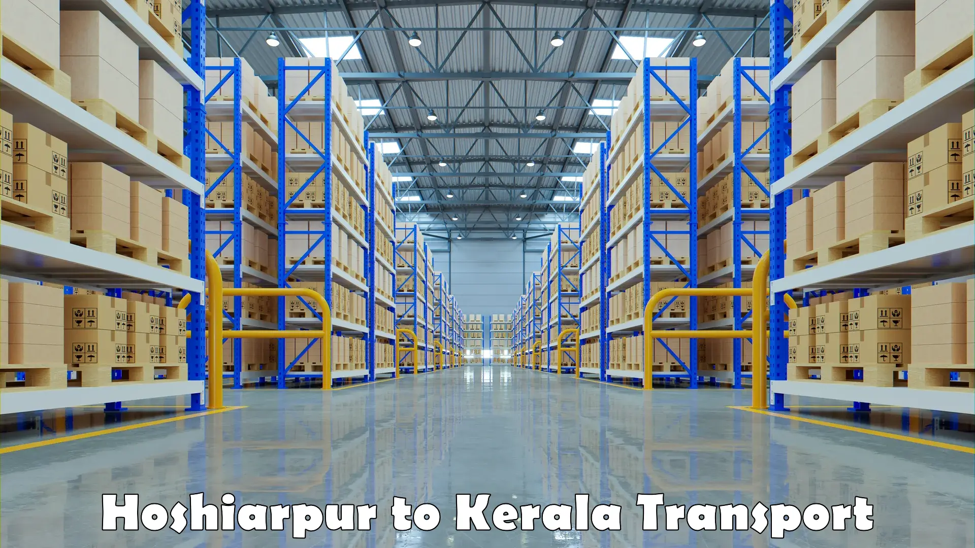Air freight transport services Hoshiarpur to Kerala