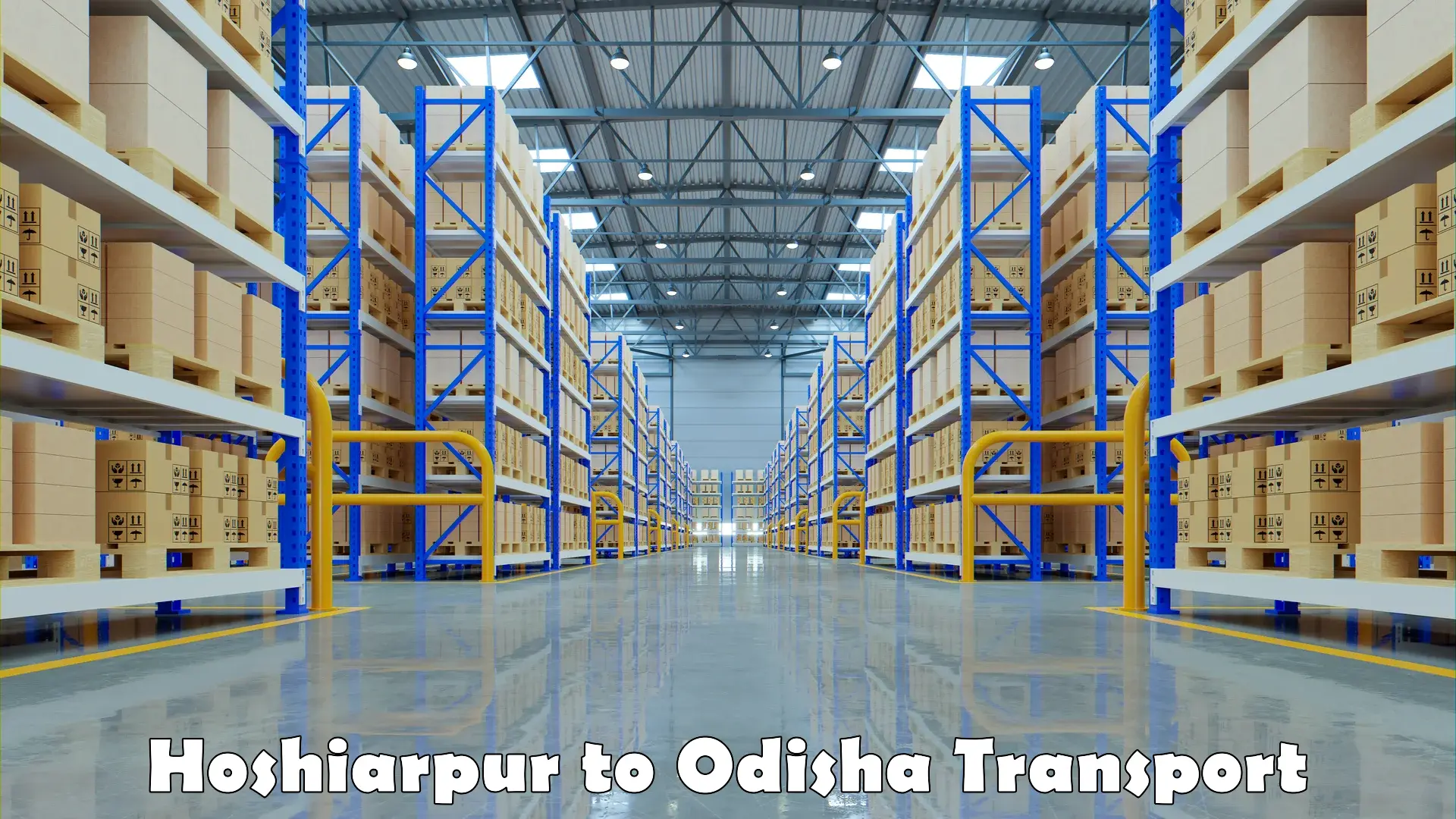 Bike shipping service Hoshiarpur to Odisha