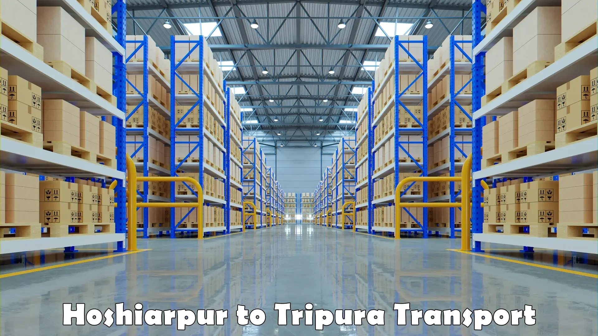 Goods delivery service Hoshiarpur to South Tripura