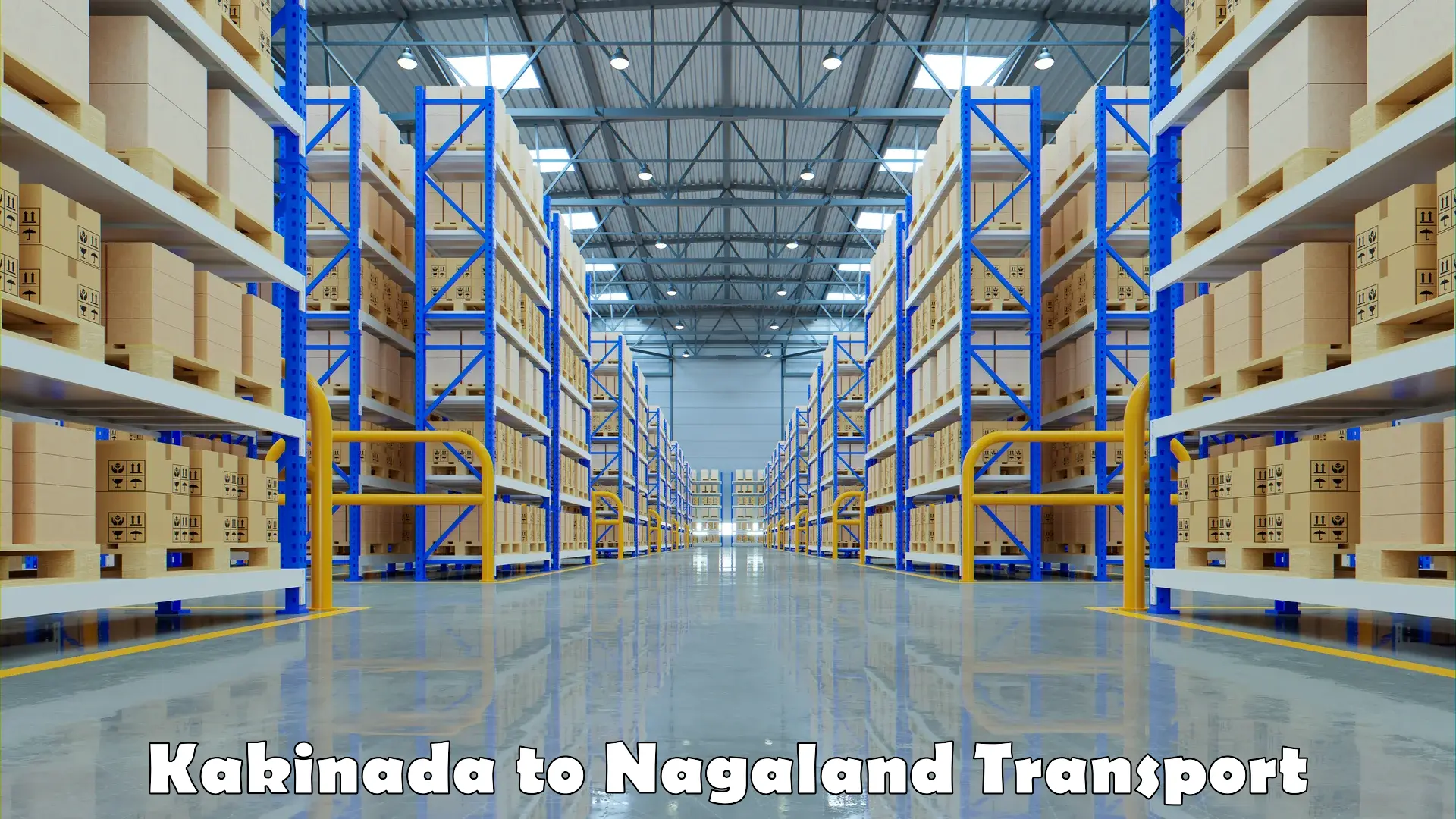 Two wheeler parcel service Kakinada to Nagaland